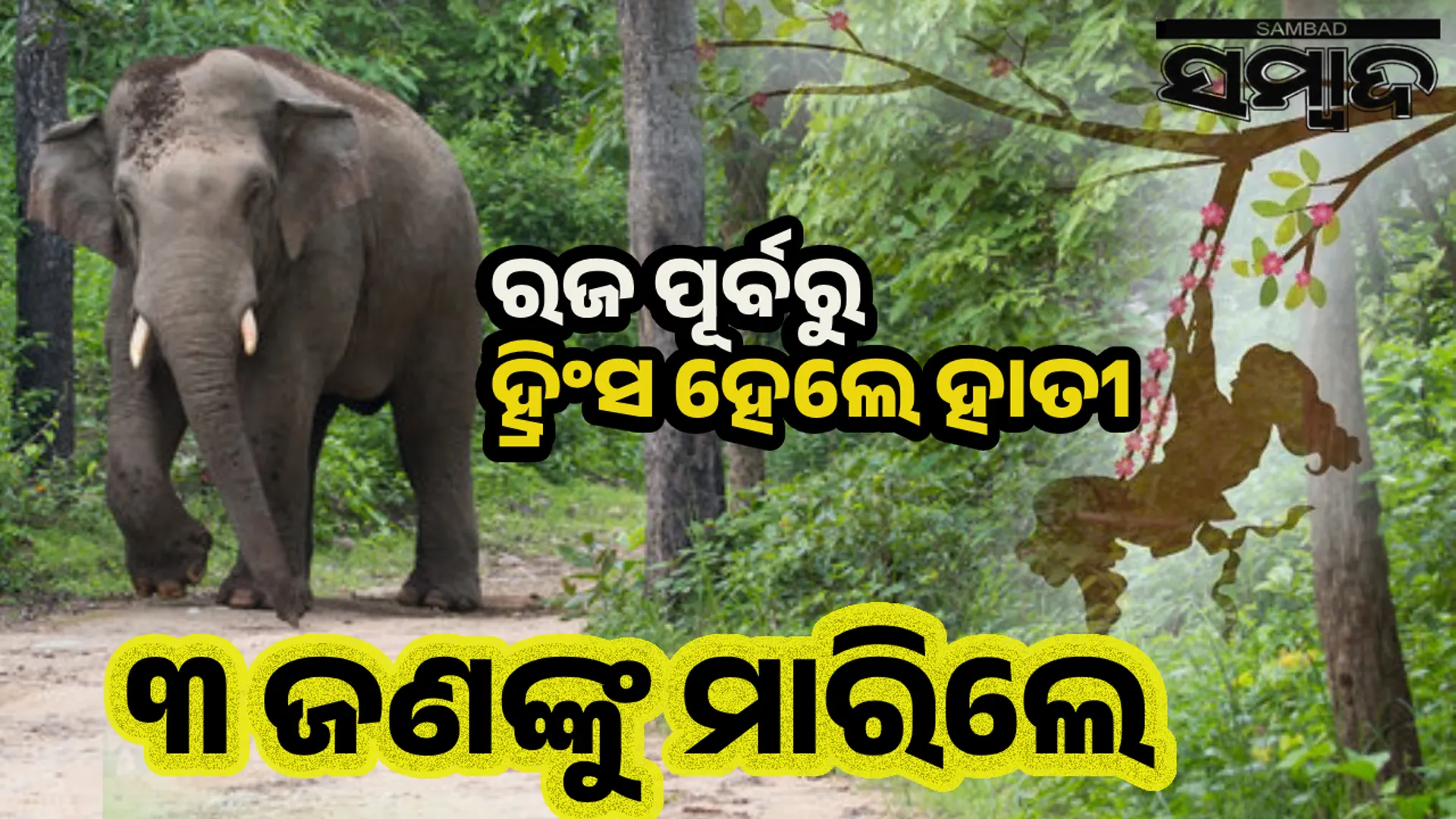Three killed by elephant