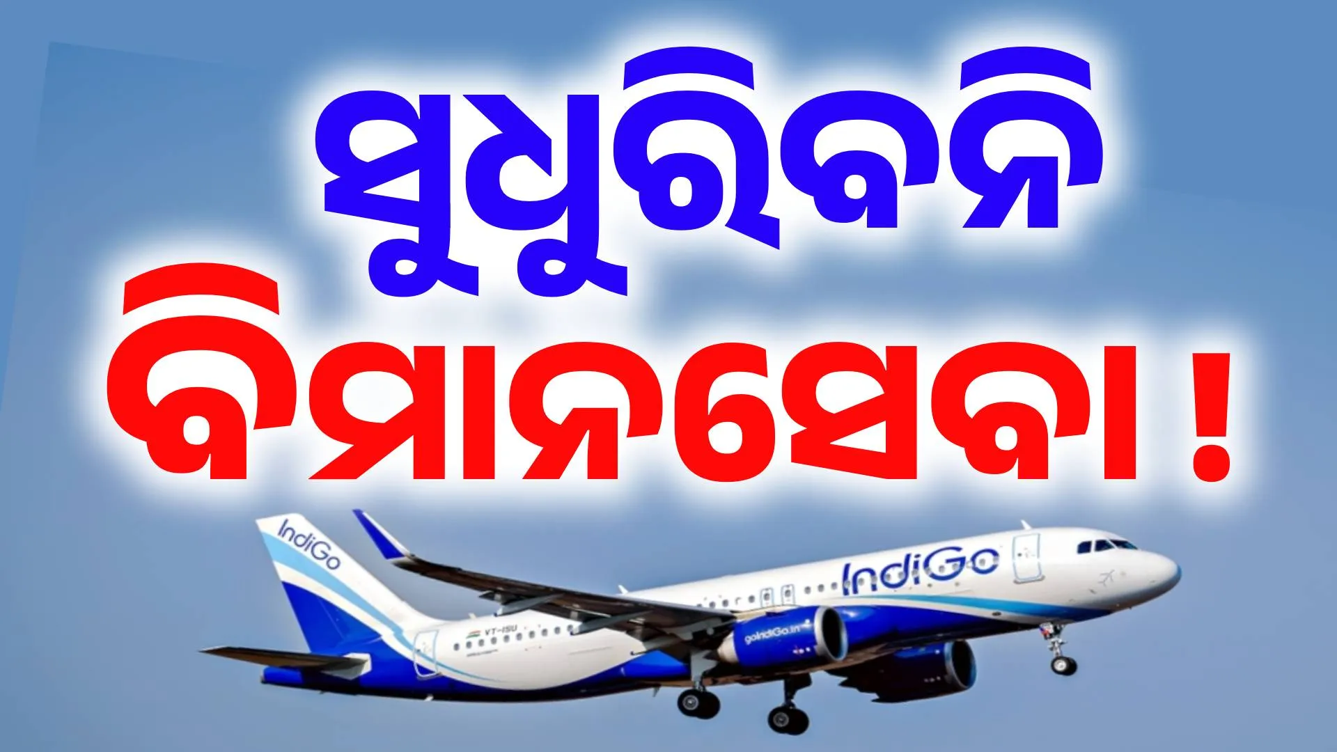 indigo not