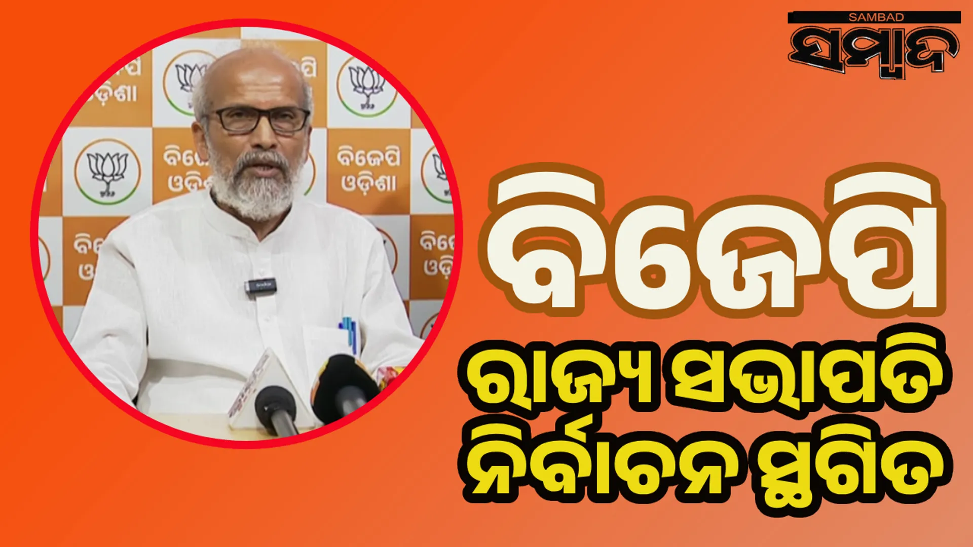 bjp election