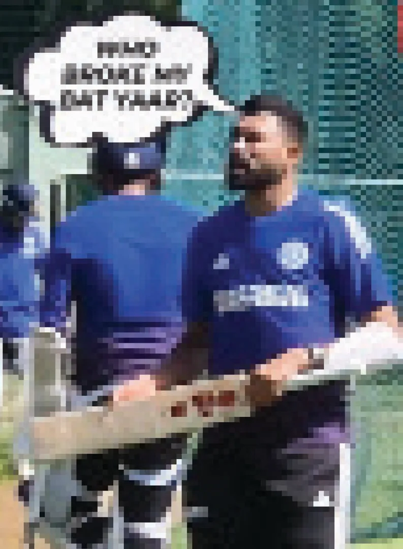 bscydhg