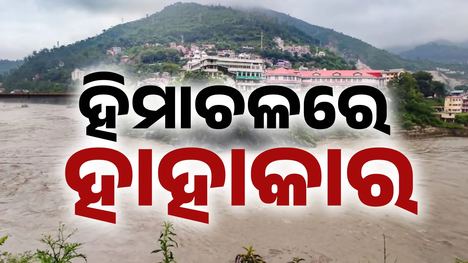 mandi flood