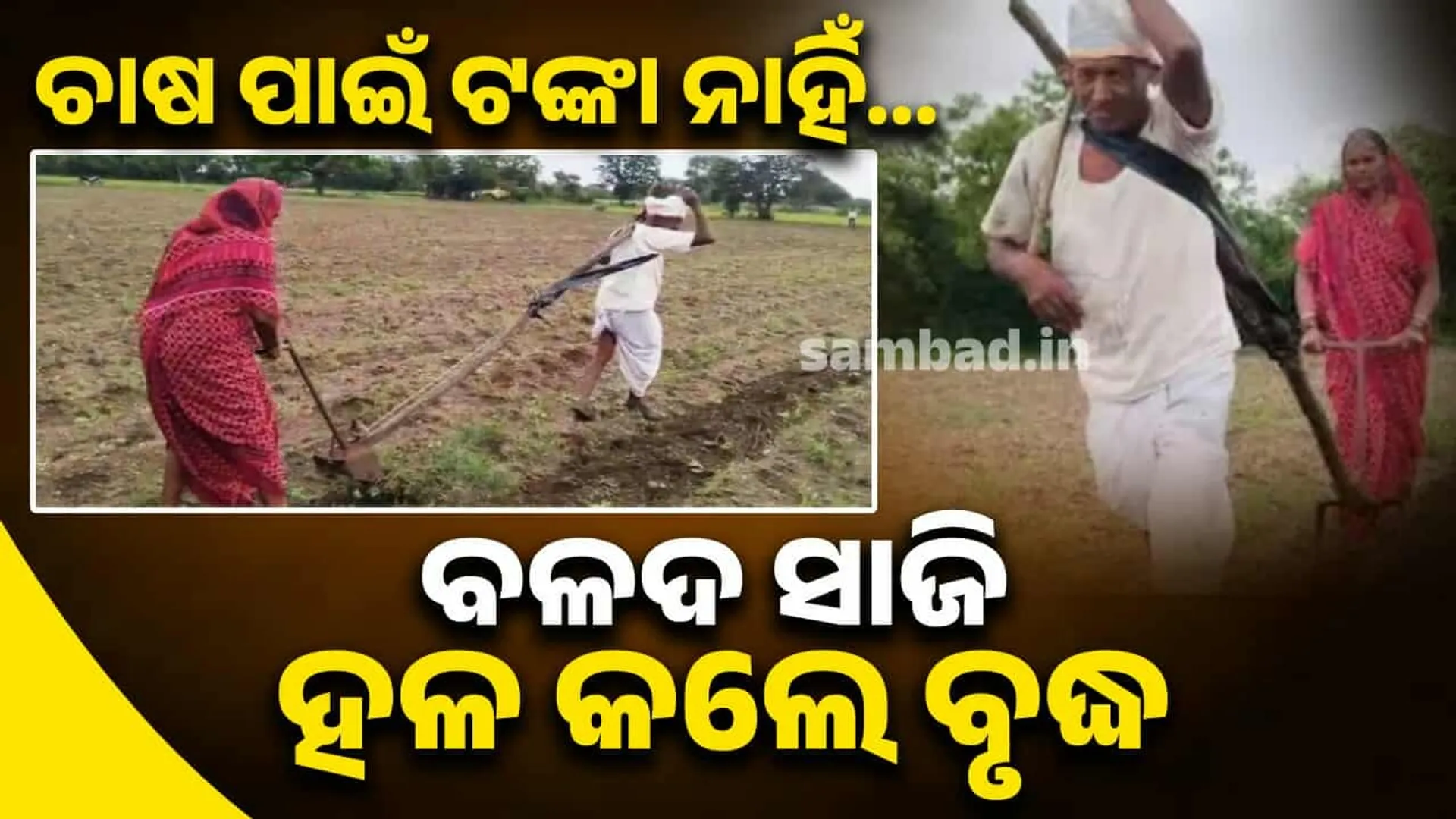 farmer trilling