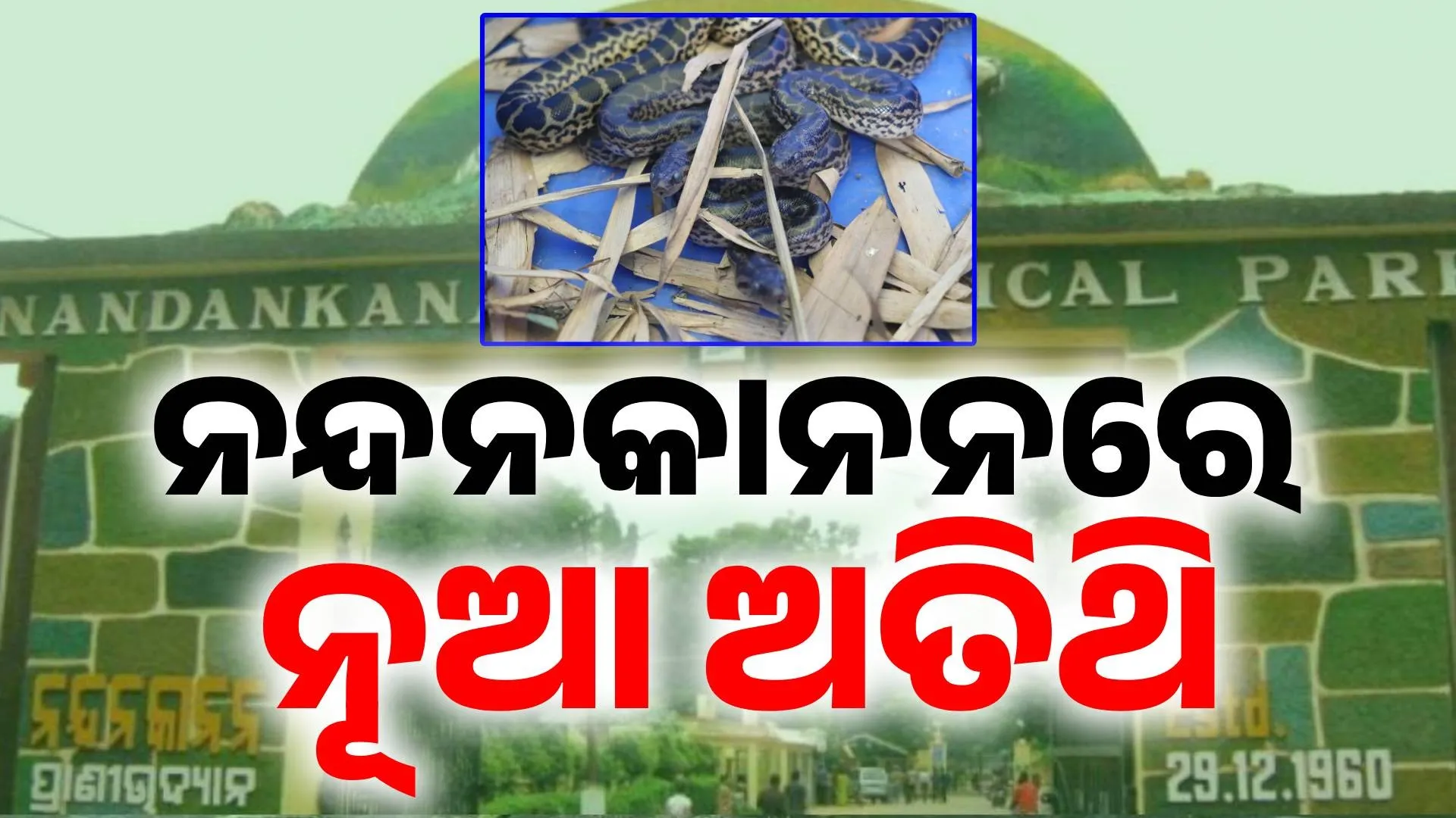 nandan