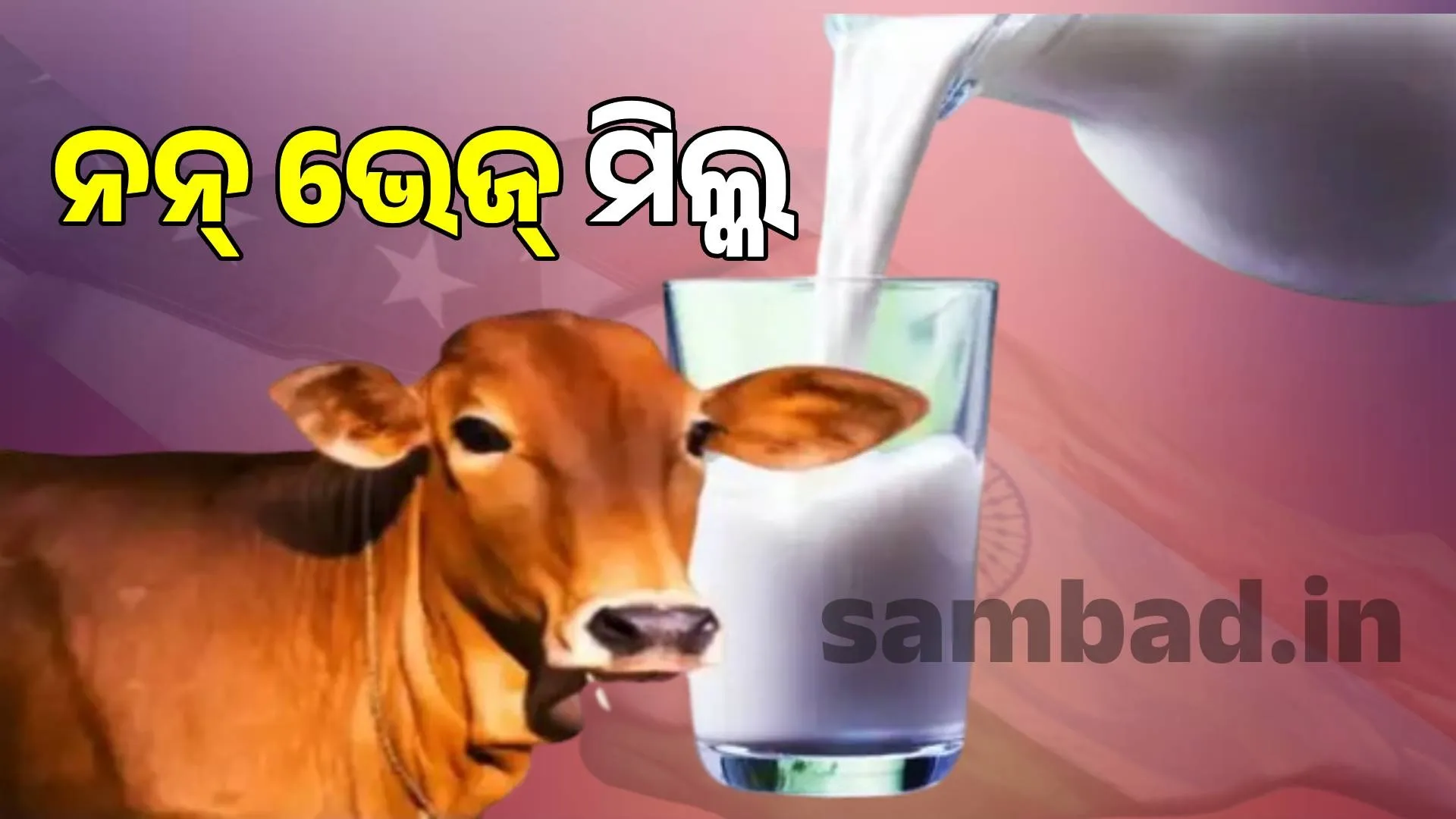 India-US dispute over non-veg milk