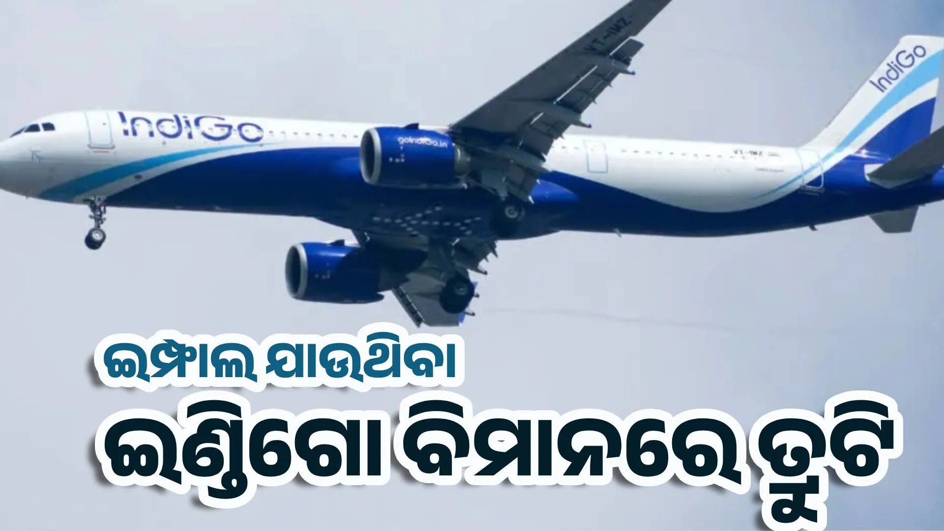 indigo1