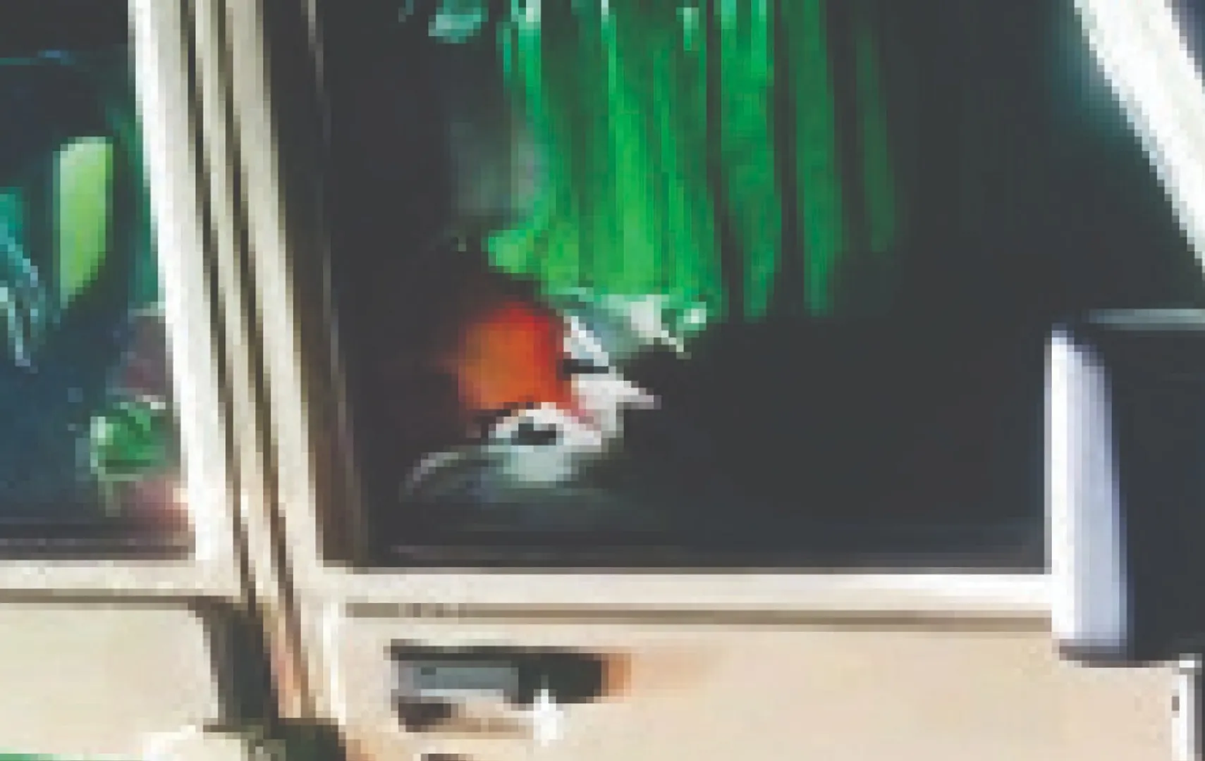 sfsffsxcxxc