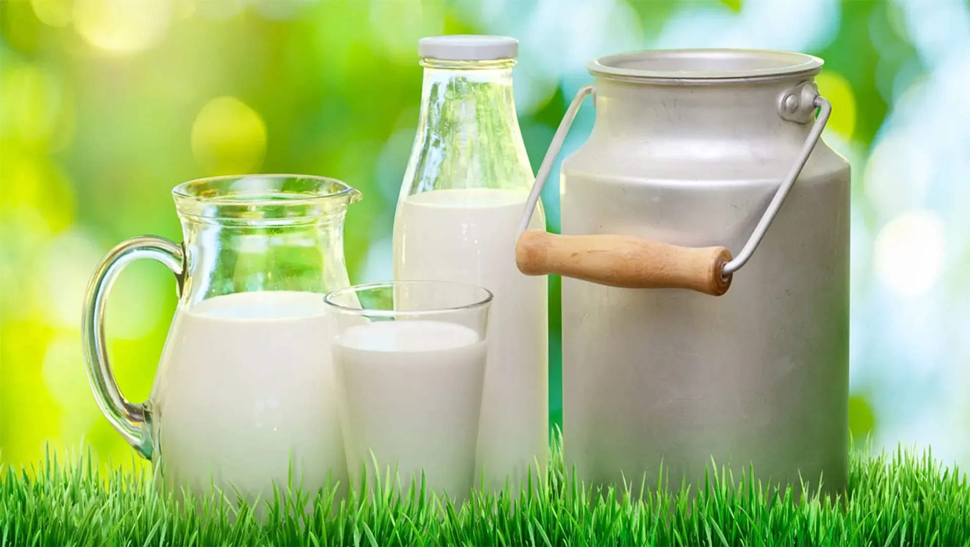 milk