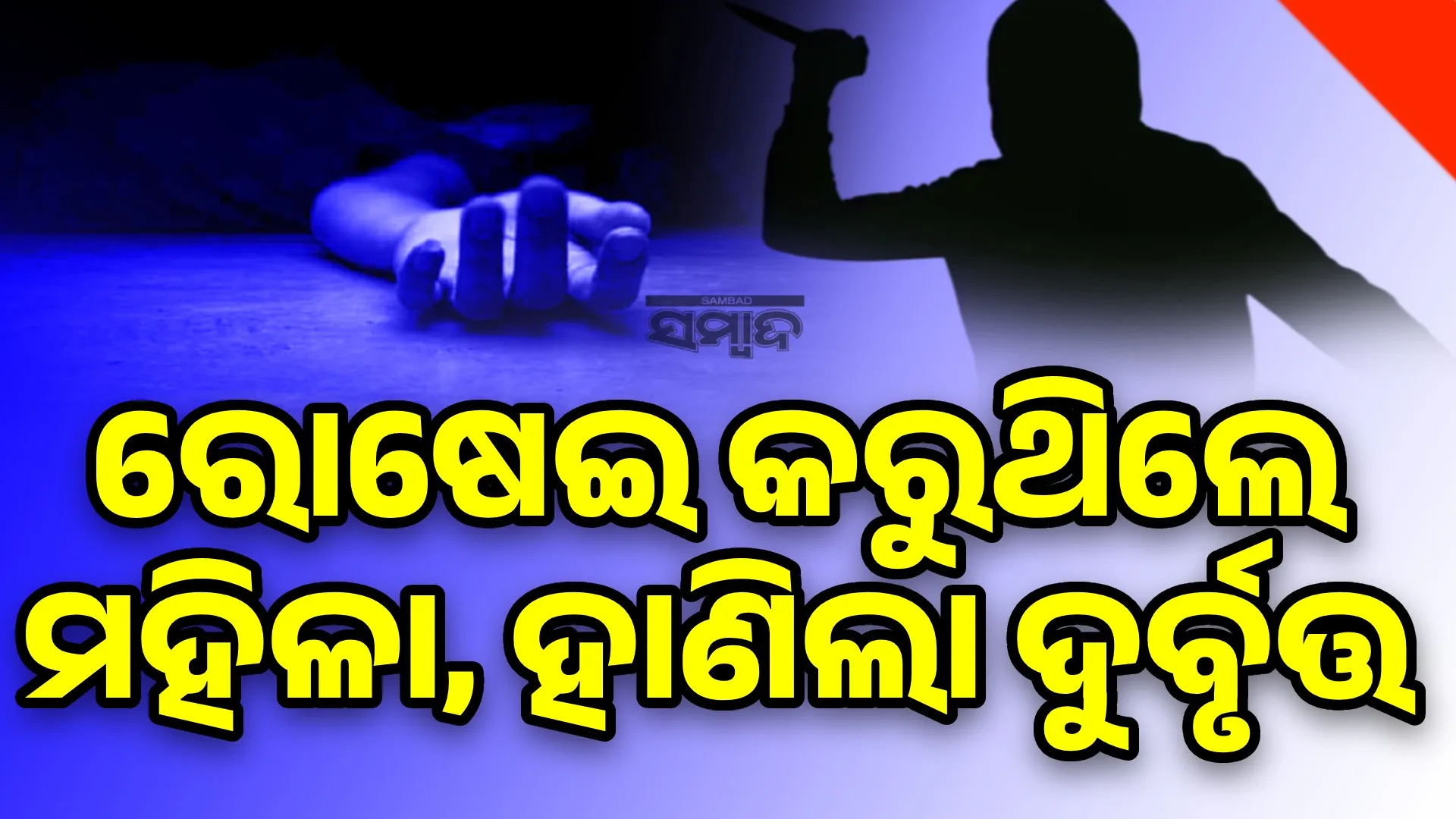 Mayurbhanj Murder (1)