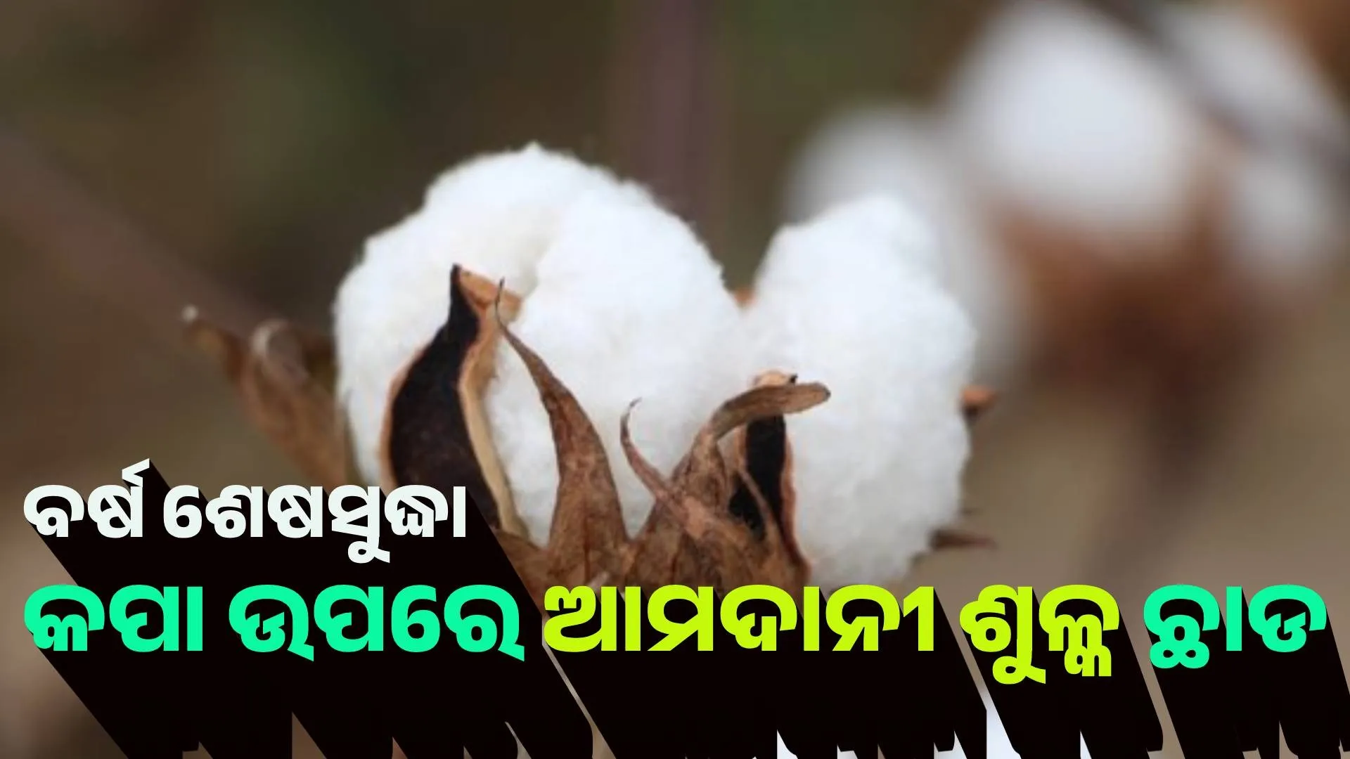cotton