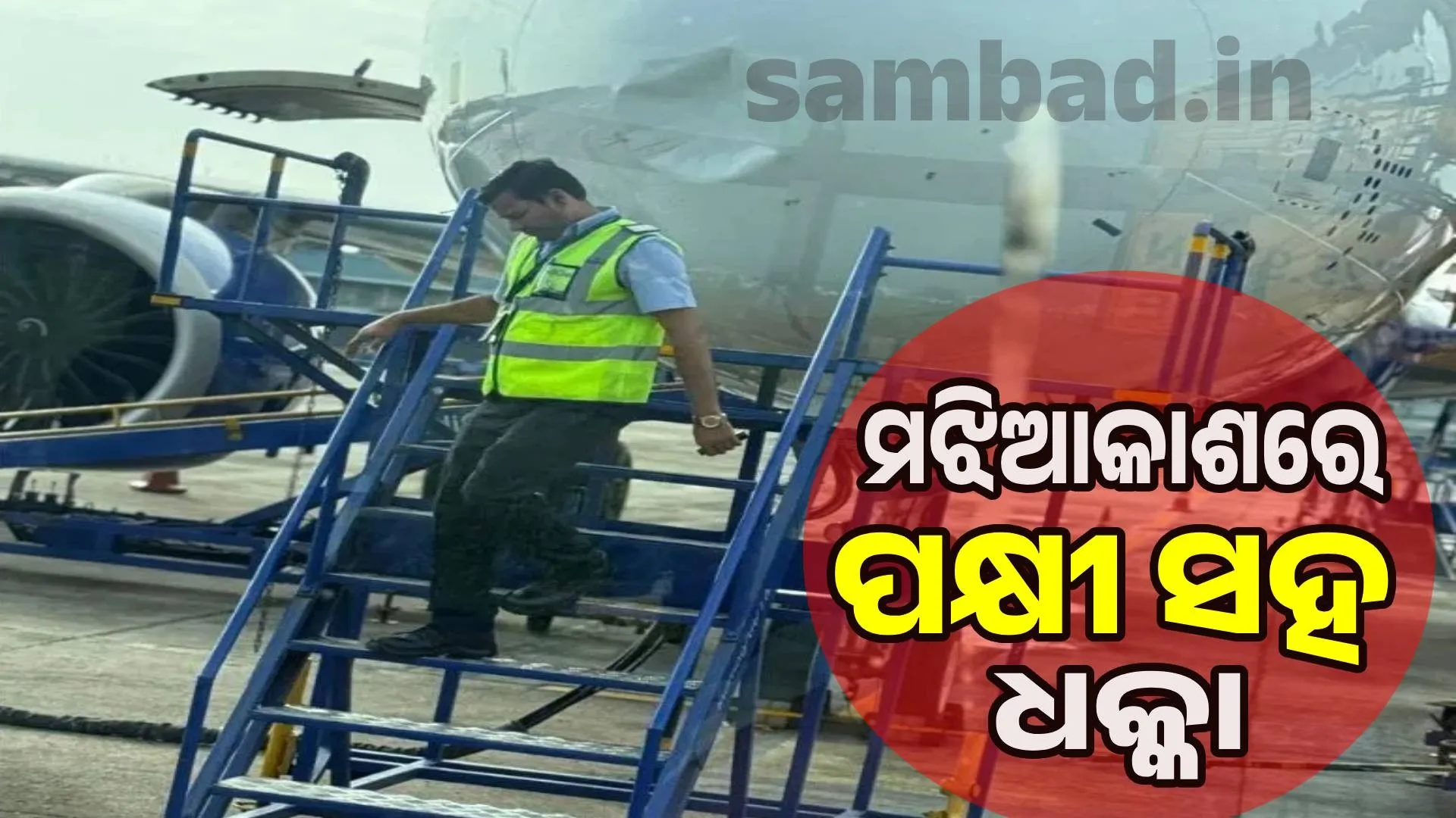 Bird strike on IndiGo flight: Emergency landing in Nagpur, 272 passengers safe