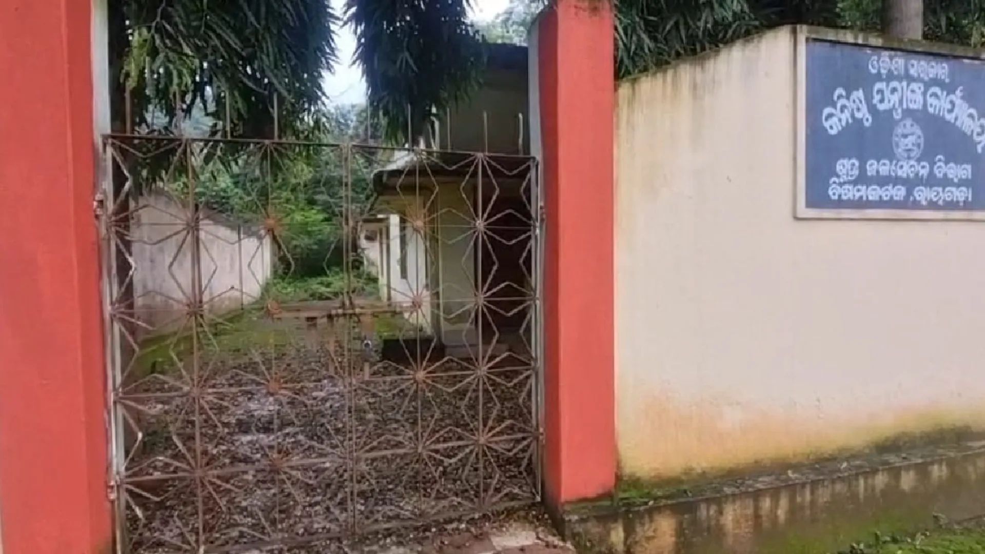 Bisamkatak