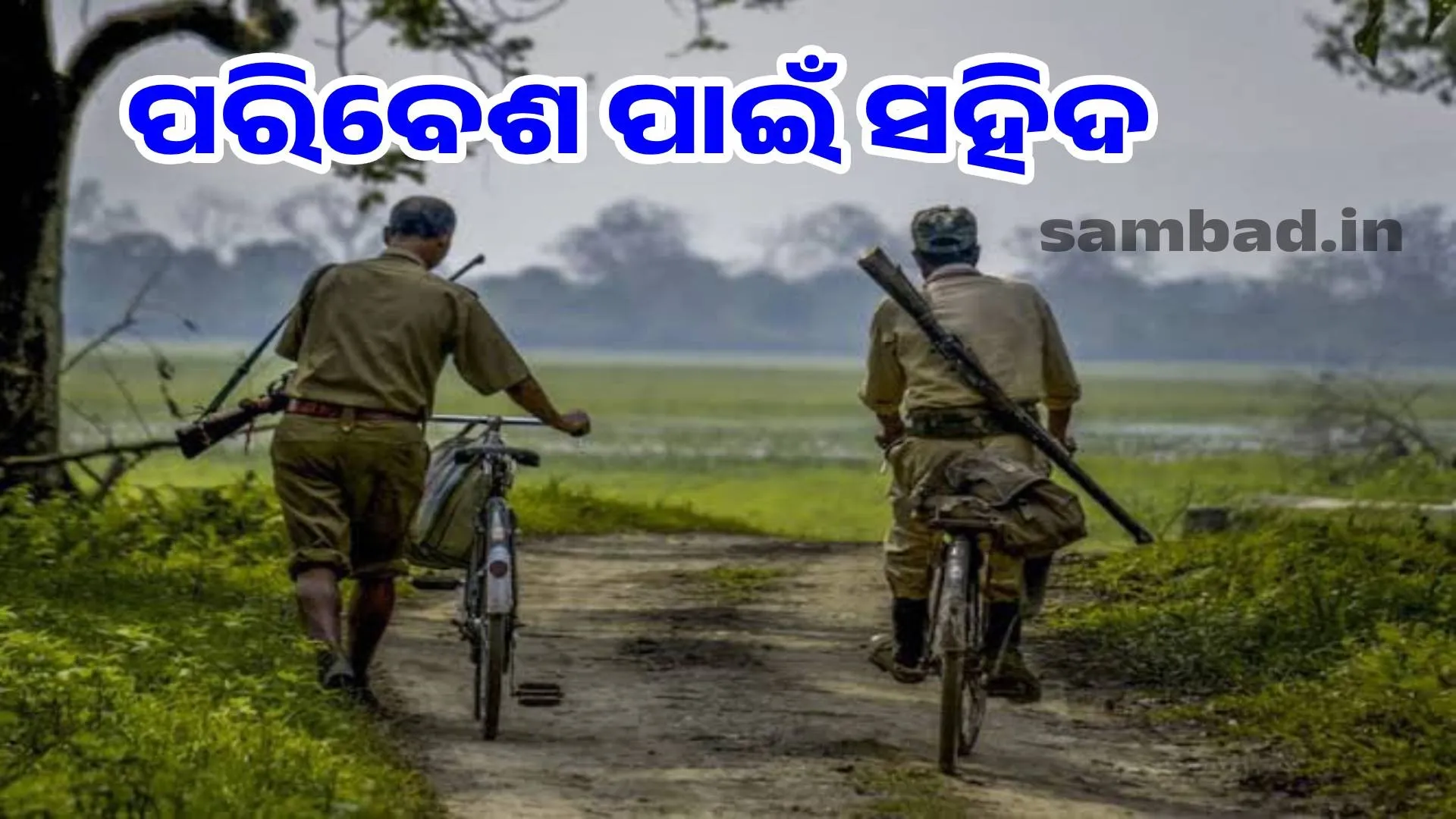 363 forest dwellers gave their lives to protect the Khejari trees