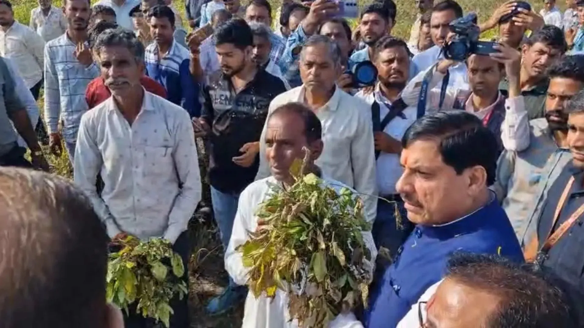 d5b564f2-771e-42ae-ab67-d05f829d5929