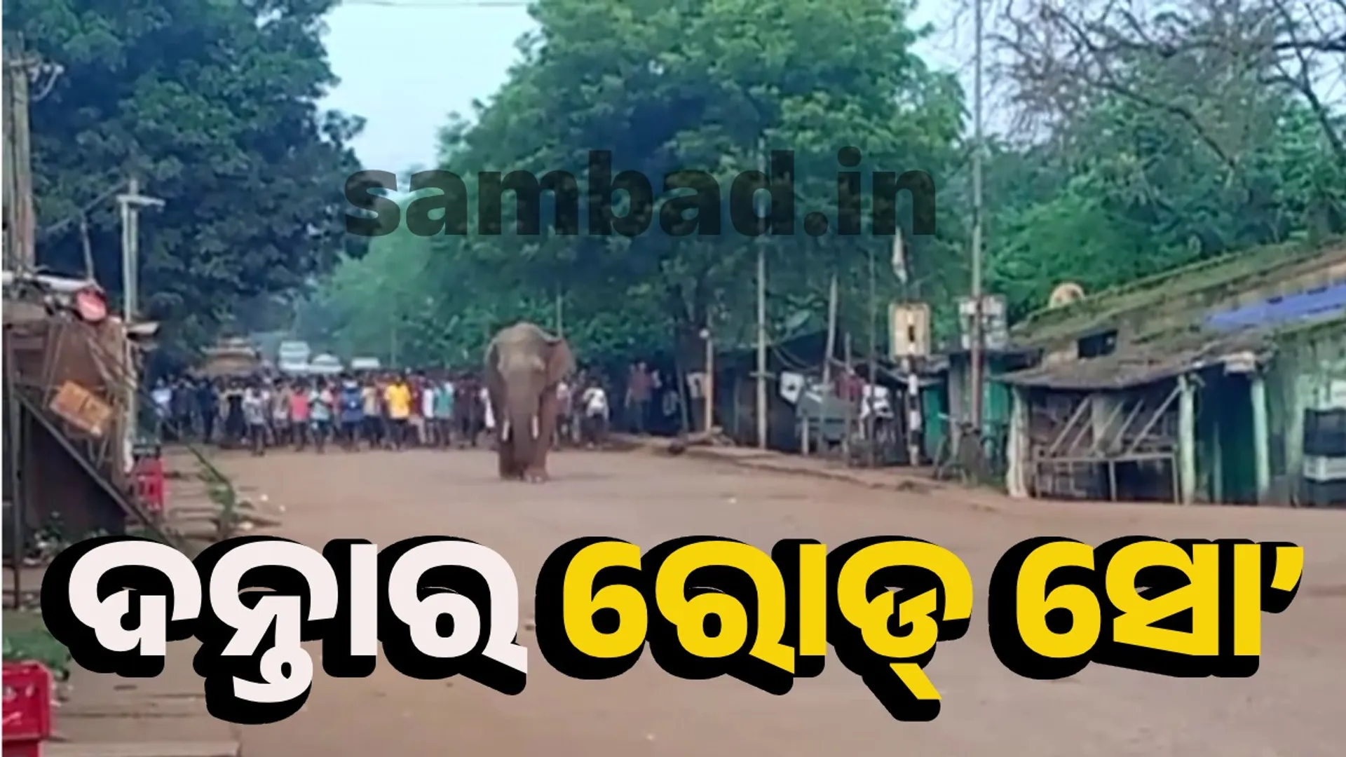 kaliapani