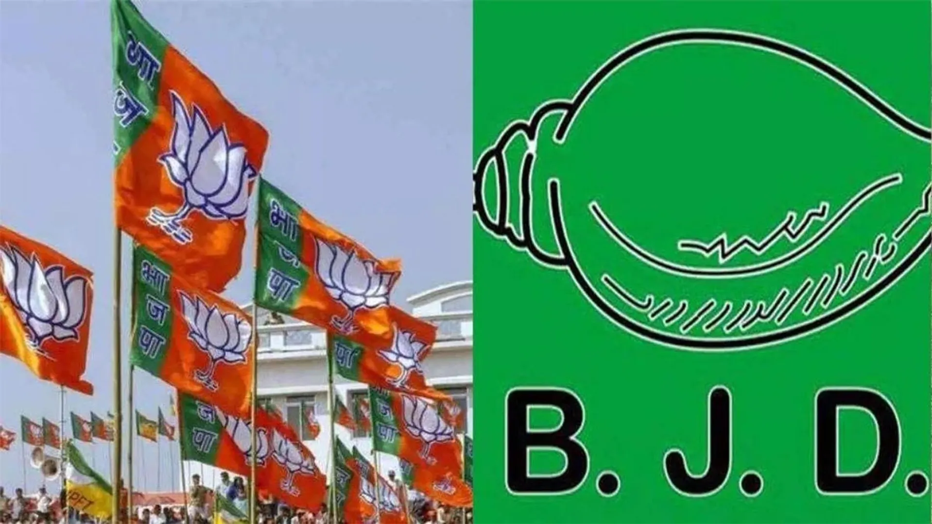 bjd bjp