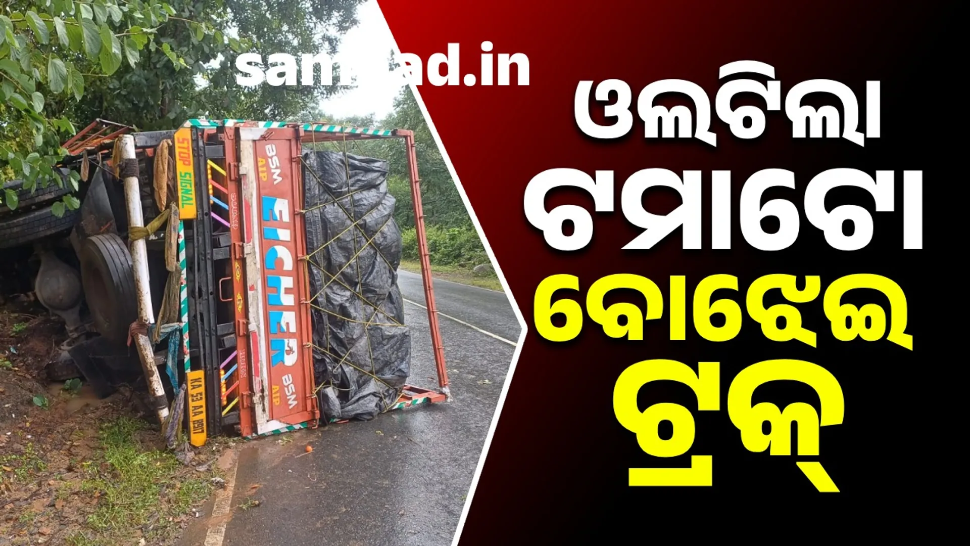 Truck loaded with tomatoes overturns after losing balance: Both driver and helper survive