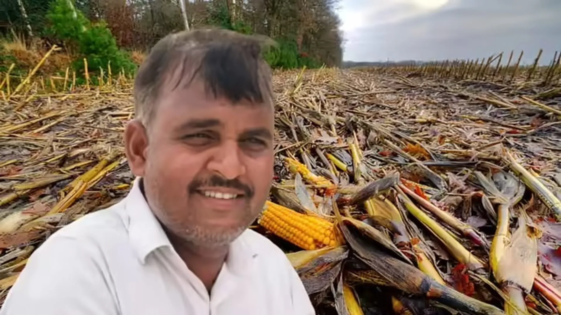 21820b8c-a488-4742-bce3-e5294c6dadc7