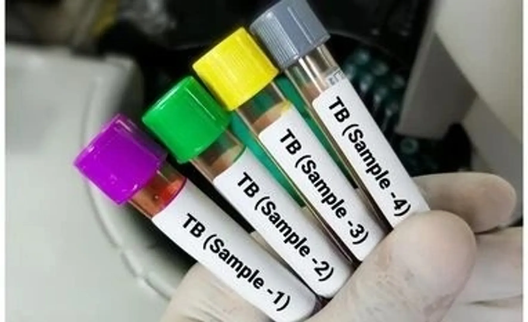 afd807a8-94a1-4ee6-afa7-80a4a64a1f69