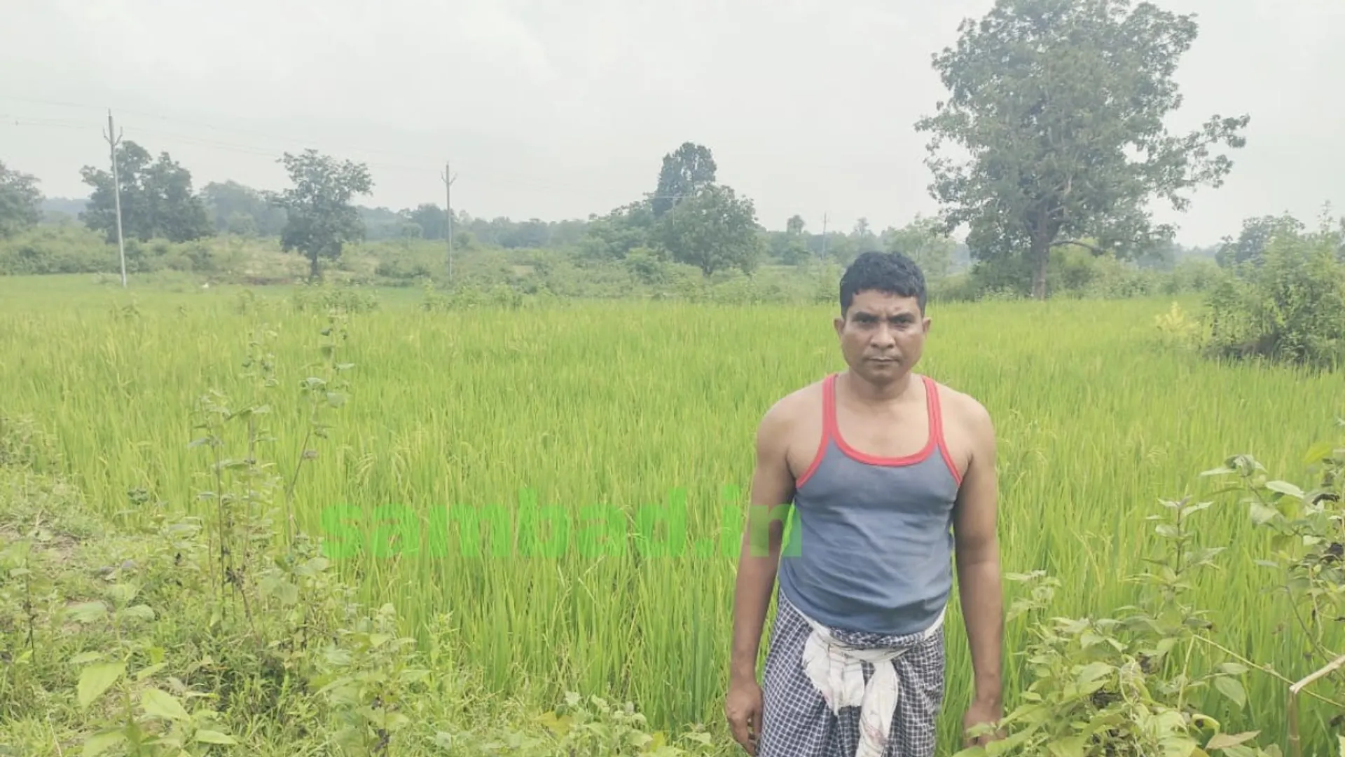 Farmer