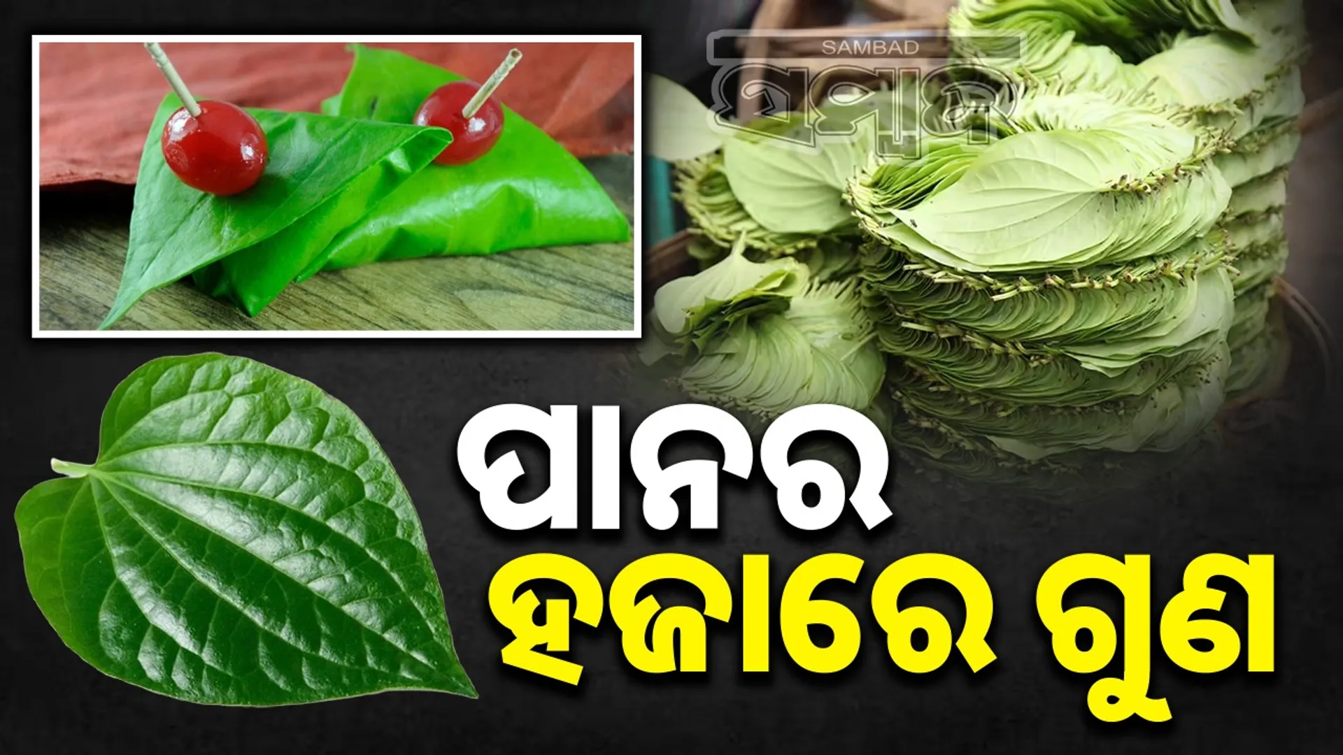 hidden health benefits of Betel Leaves: Know its benefits