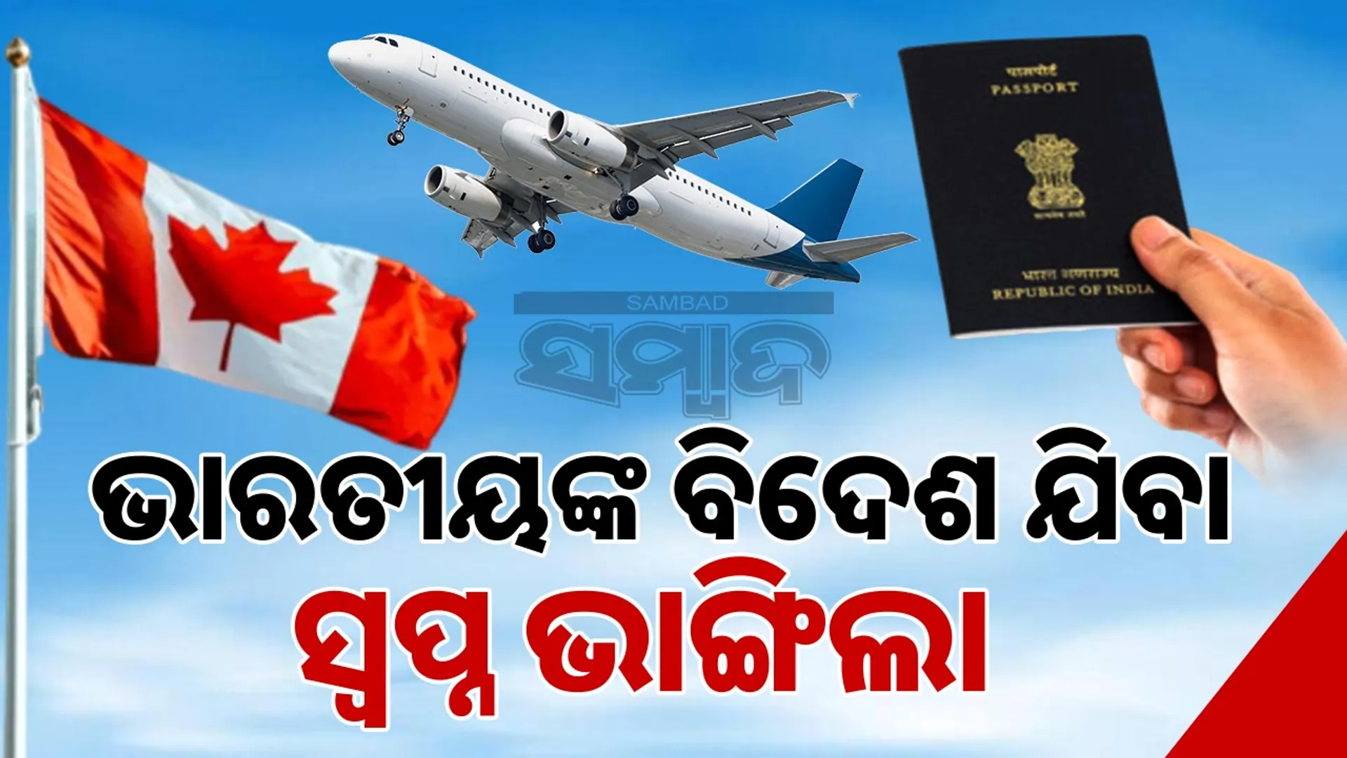 Indians' dreams of going abroad shattered: Canada rejects 74% visa applications