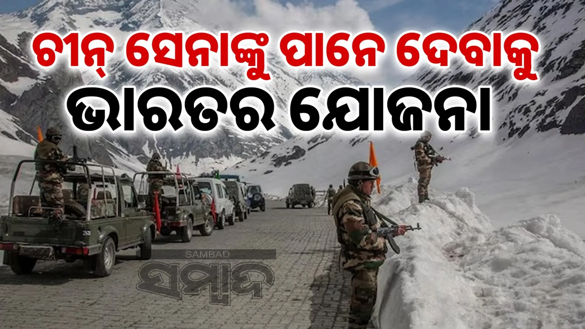 Plan to feed Chinese army in Ladakh: Tibetan wolves, fur cows, and snow leopards will leave India