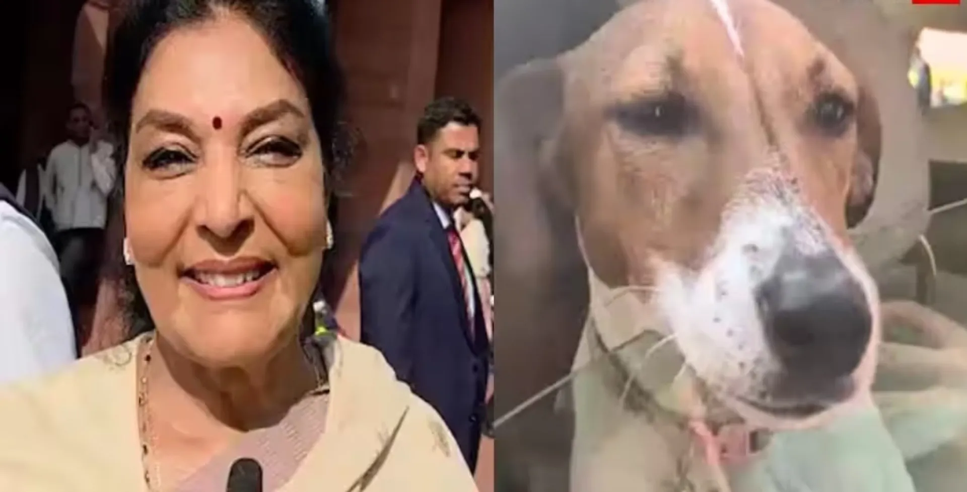 0cb18703-8b5c-4d2d-9050-3053f171f32e