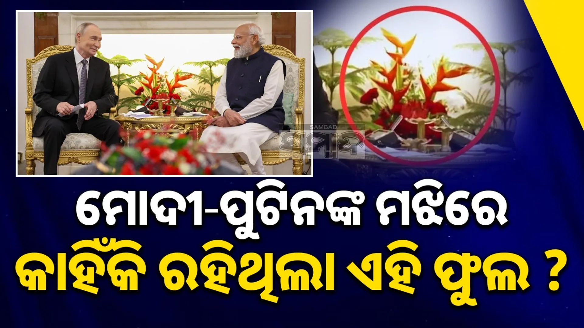 Heliconia plant in modi-putins meet