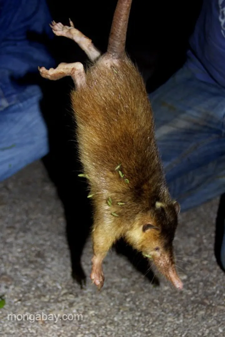 7435cc3c-0be7-4ee5-baf3-ee486b333674