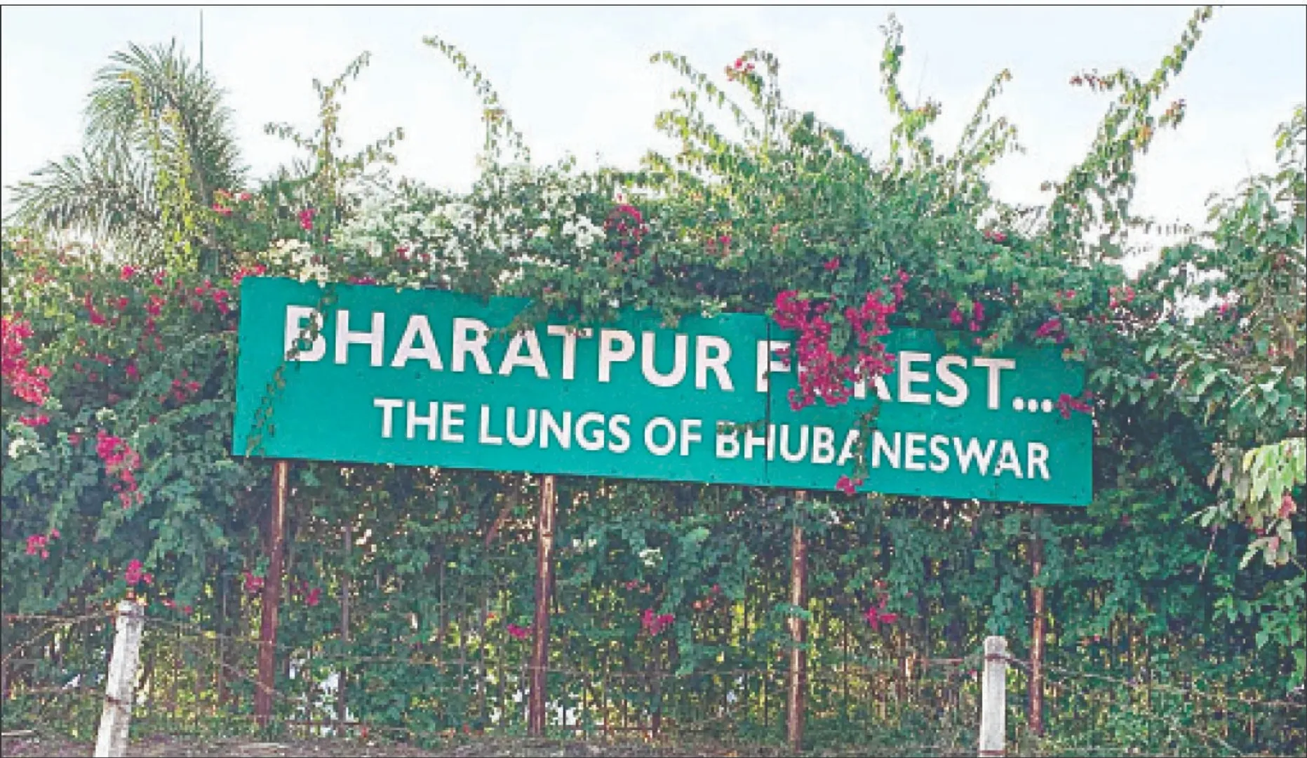 bharatpur forest