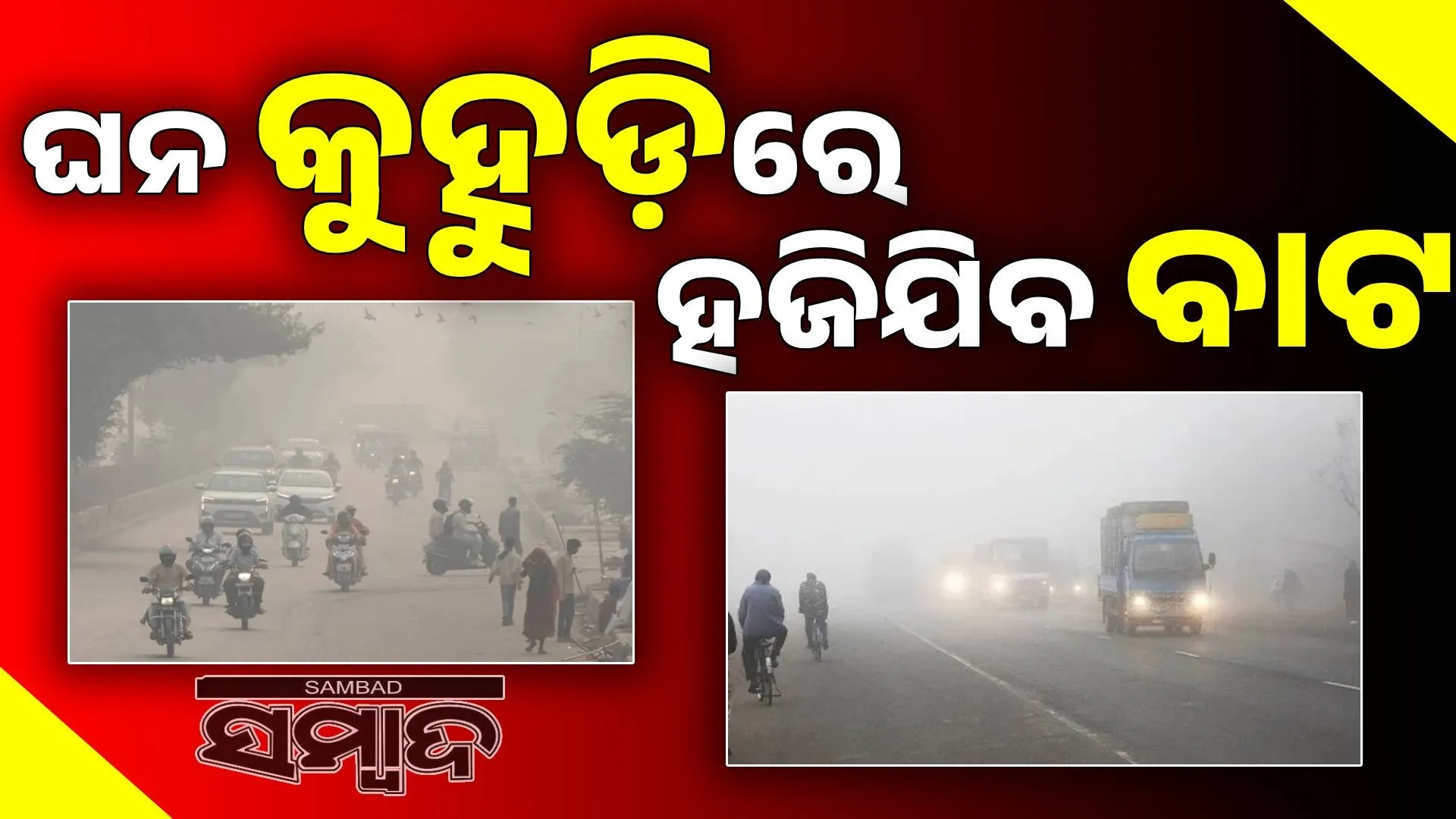 Yellow warning issued for five districts due to dense fog