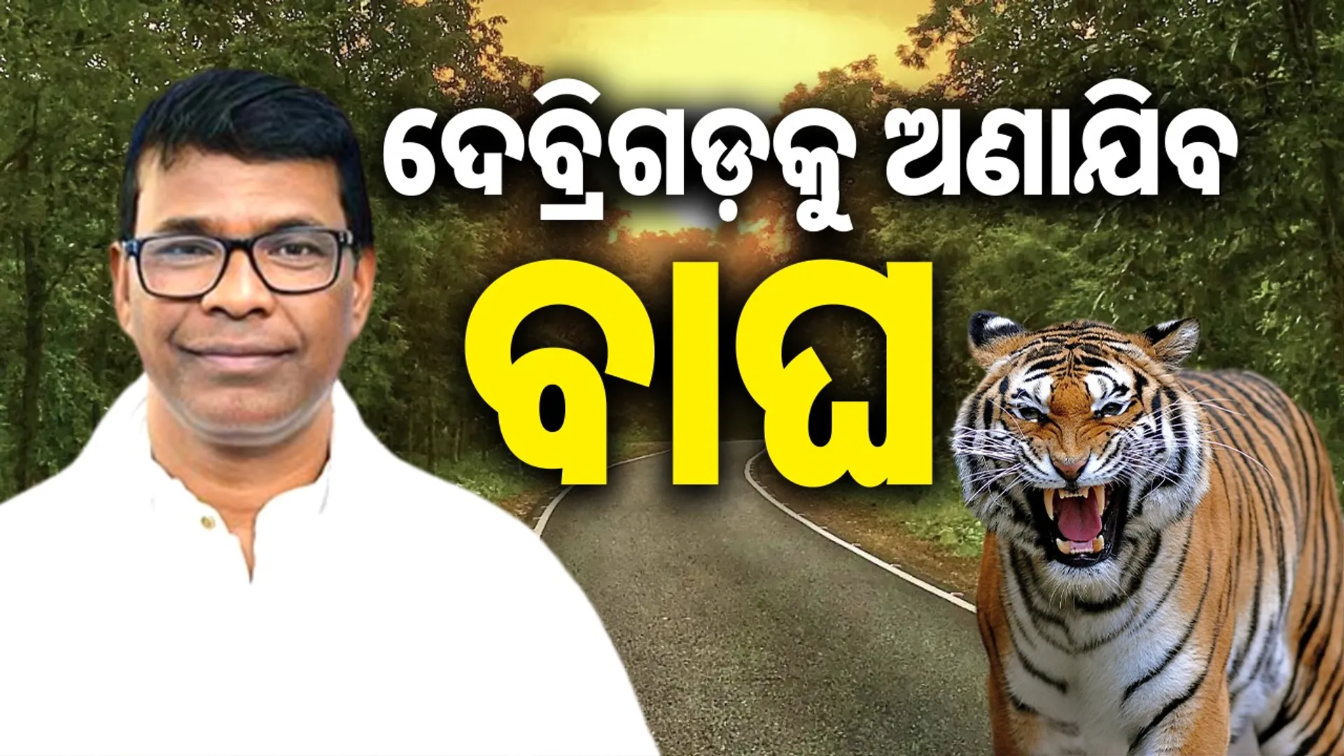 Two tigers will come to Debrigarh Tiger Reserve