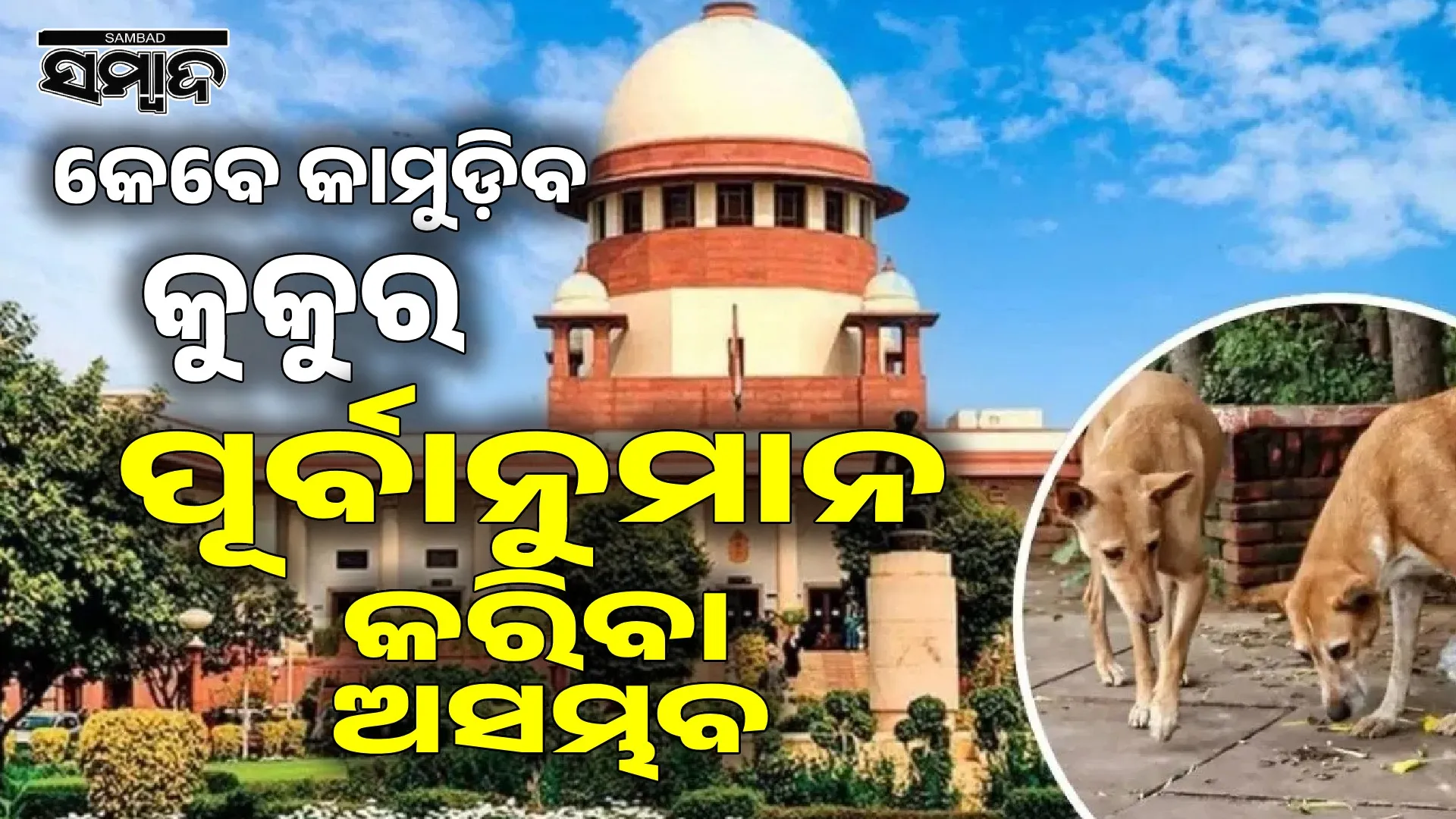 Supreme Court asks whether dogs should be counseled