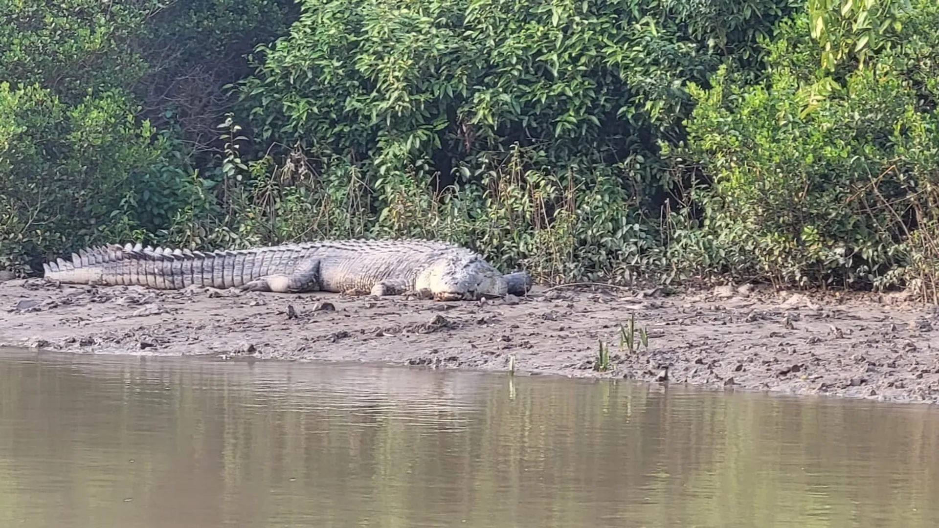 71727e48-52f3-4c5b-9865-80b7911cf697