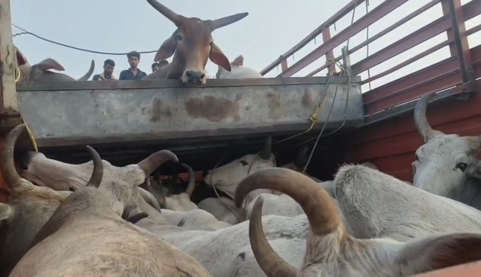 Screenshot_20260206-075512_WhatsApp