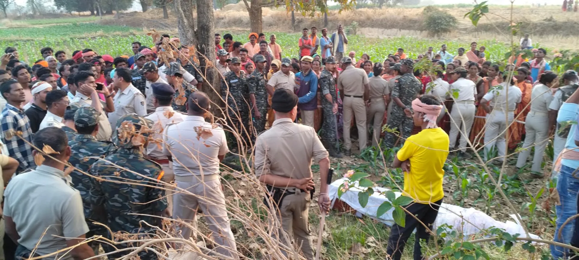 WhatsApp Image 2026-02-14 at 19.20.03