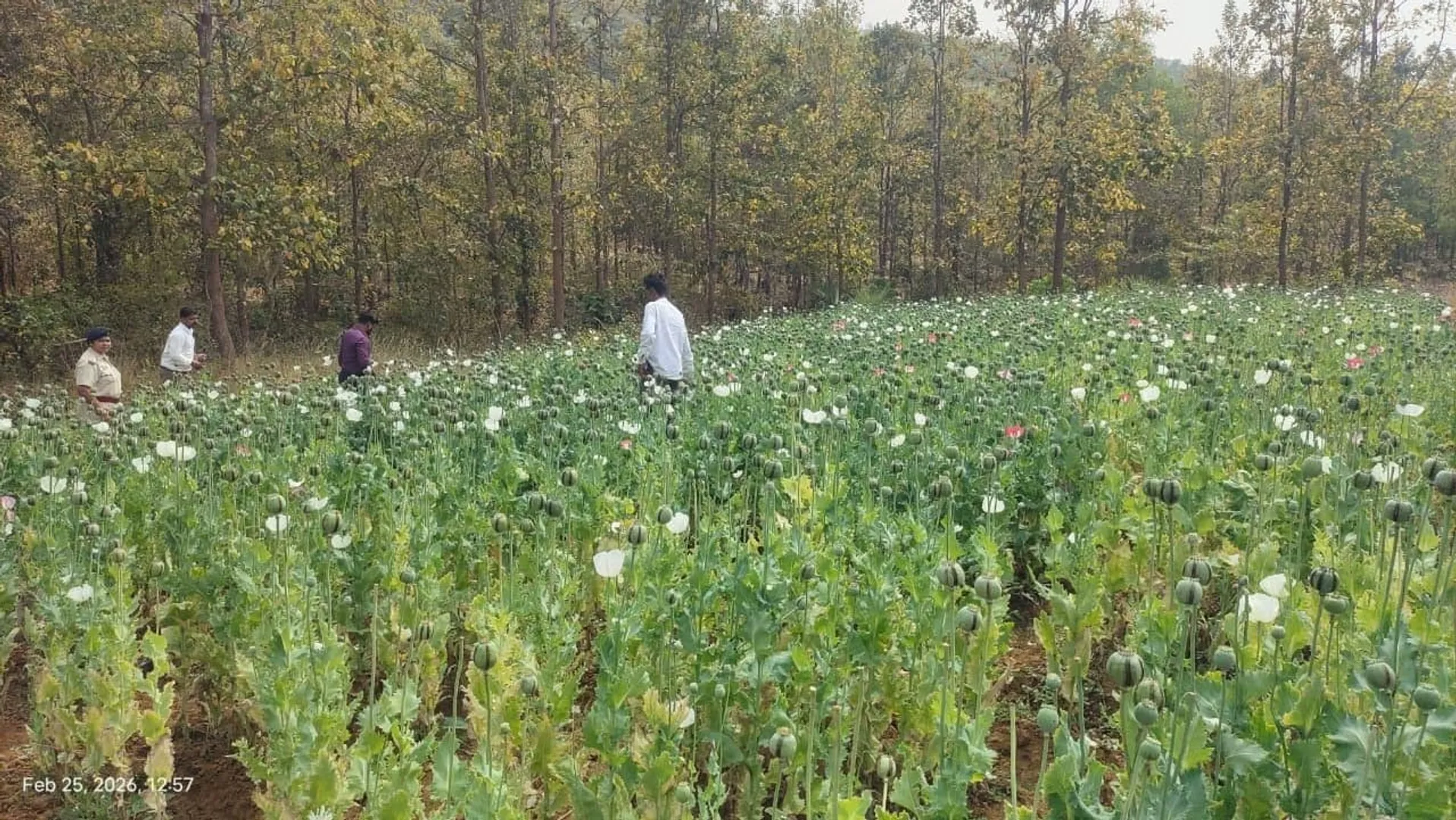 WhatsApp Image 2026-02-25 at 20.30.02