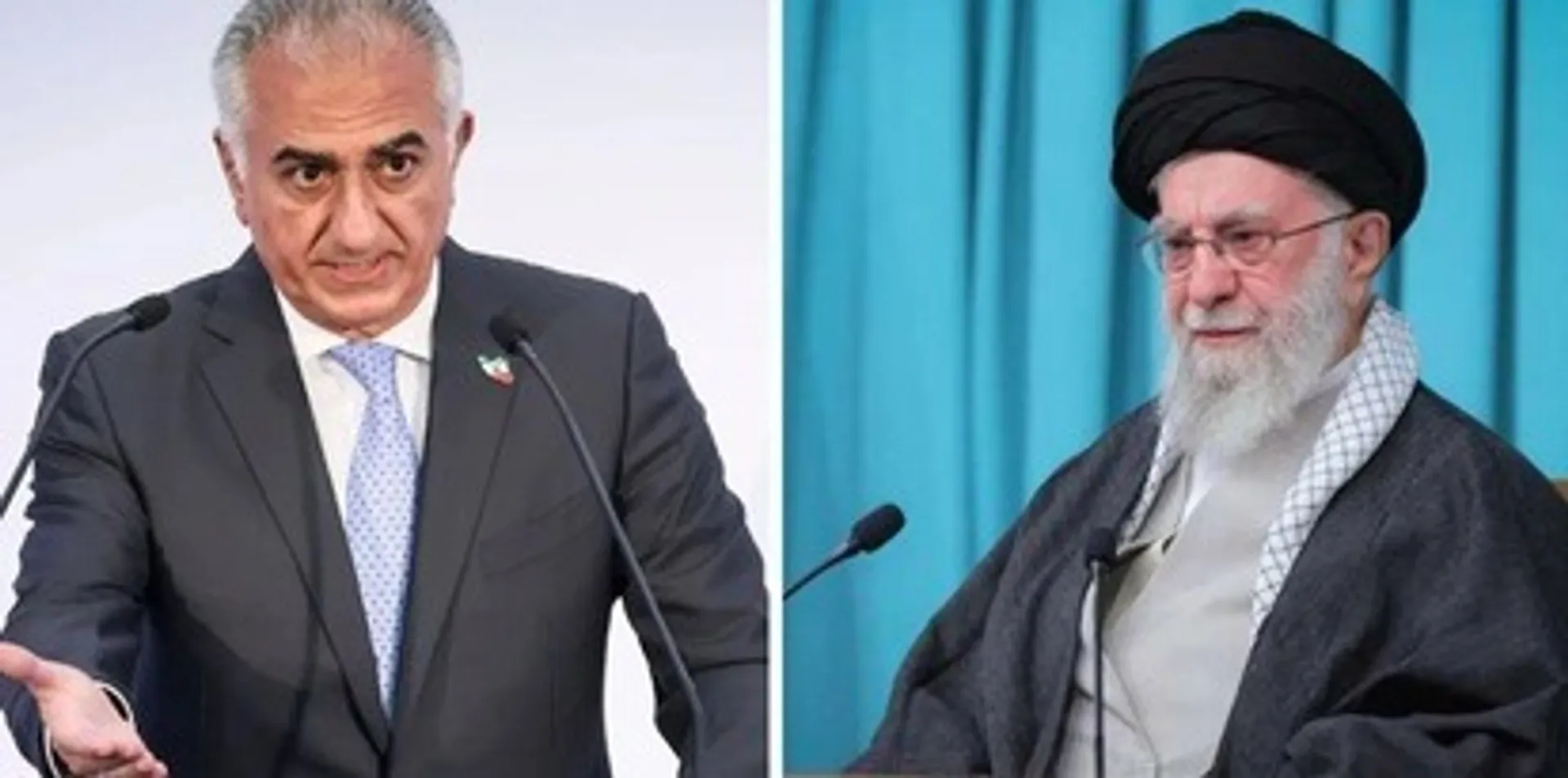 Reza Pahlavi Reaction