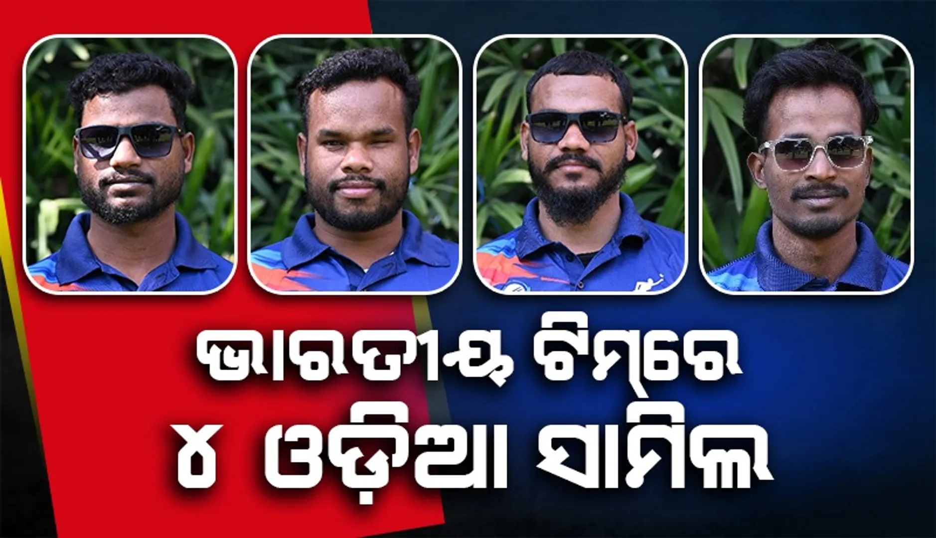 cricket