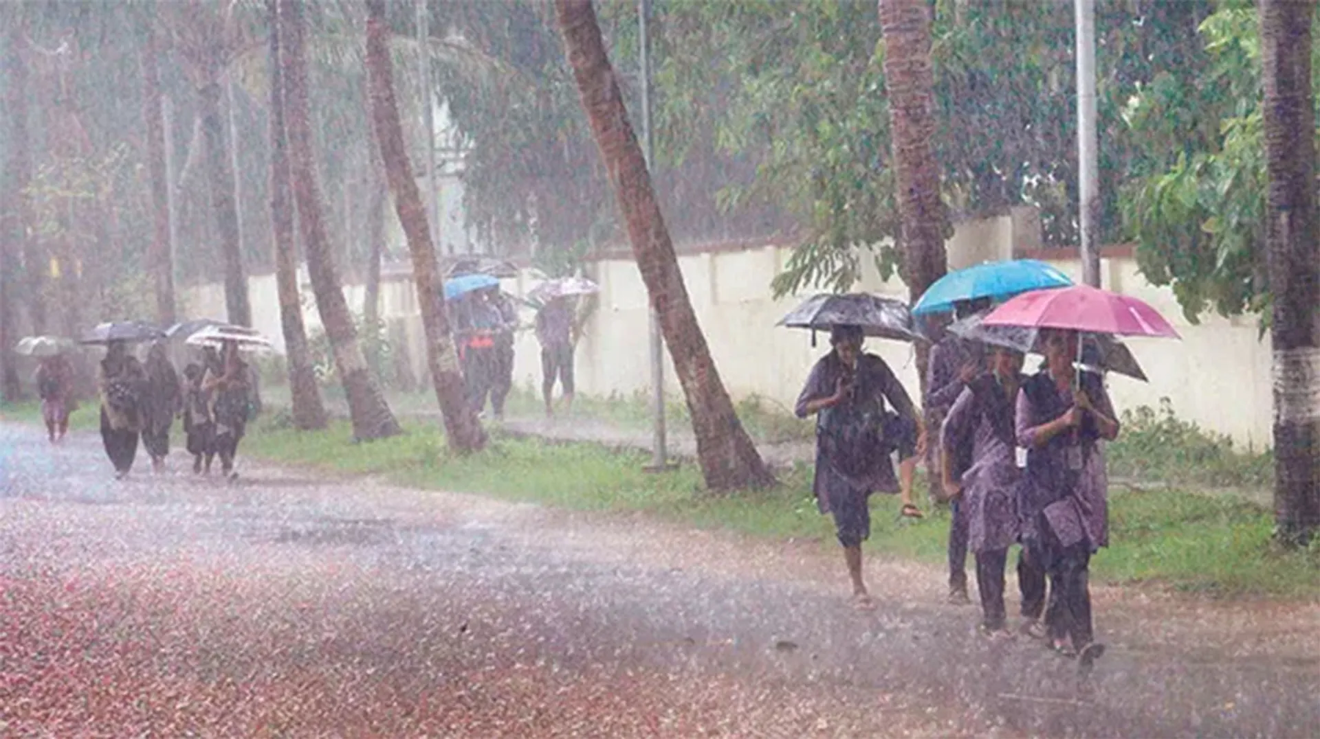 rain