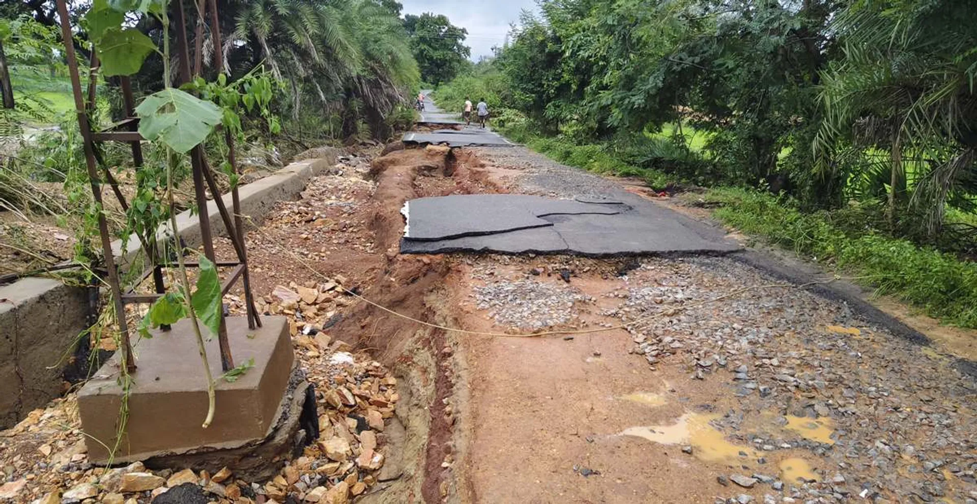 malkangiri rain