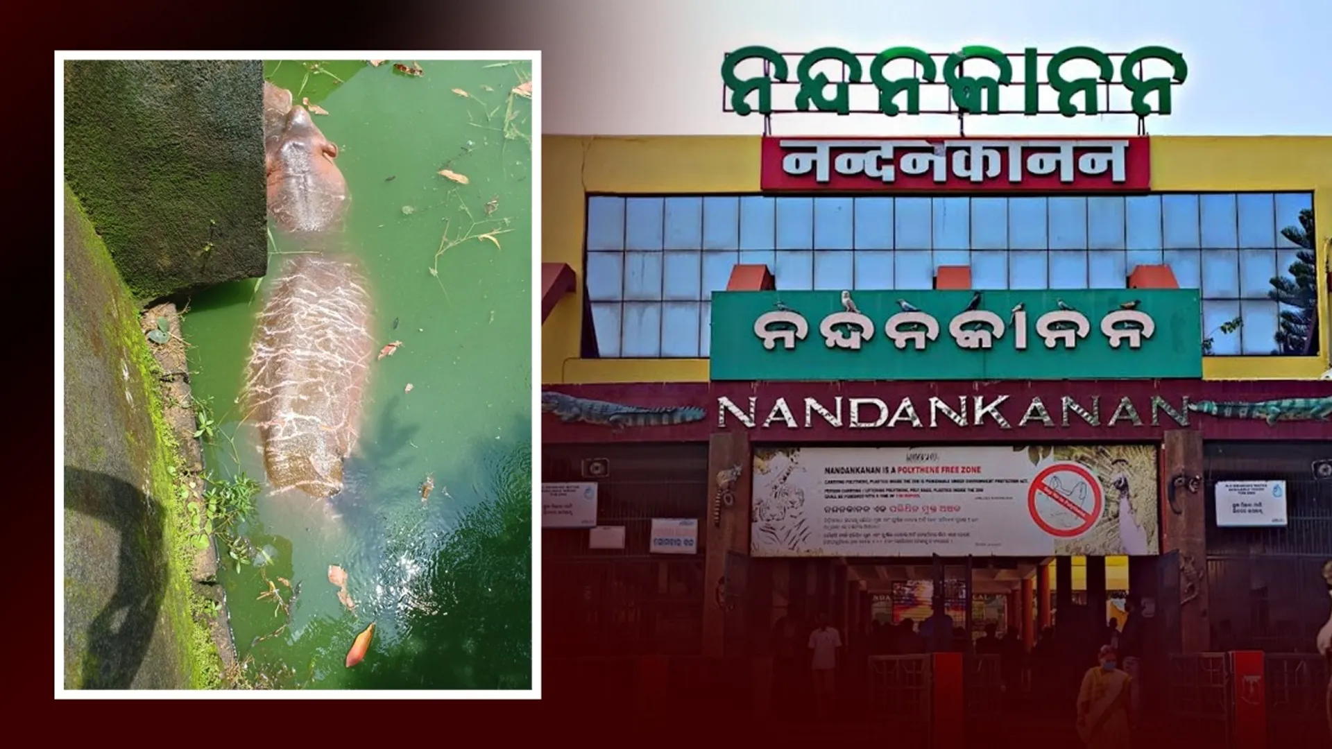nandankanan