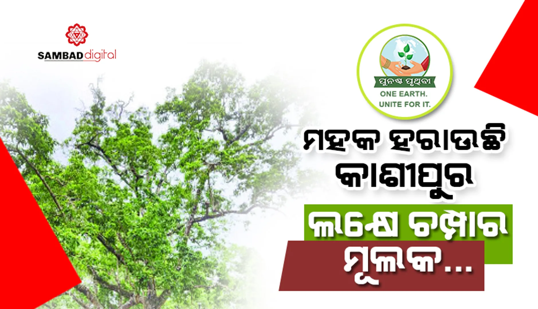 Punashcha Pruthibi