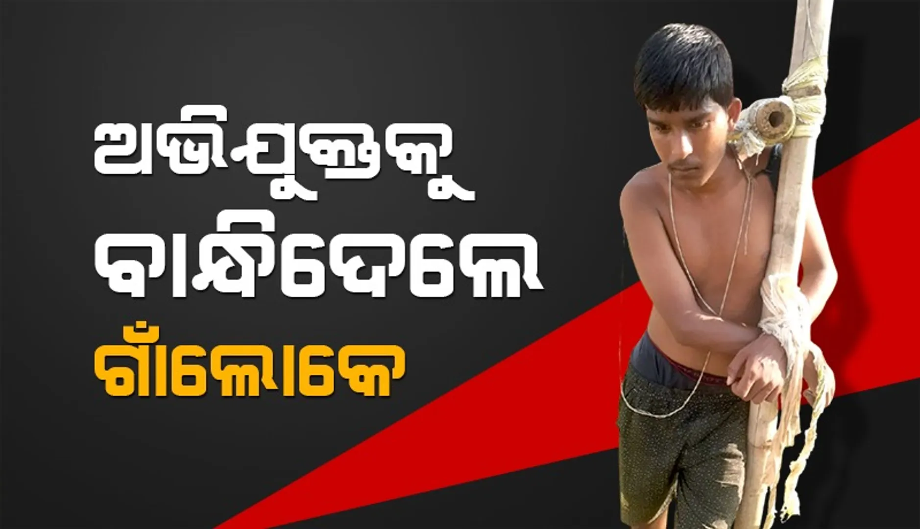 Mayurbhanj 