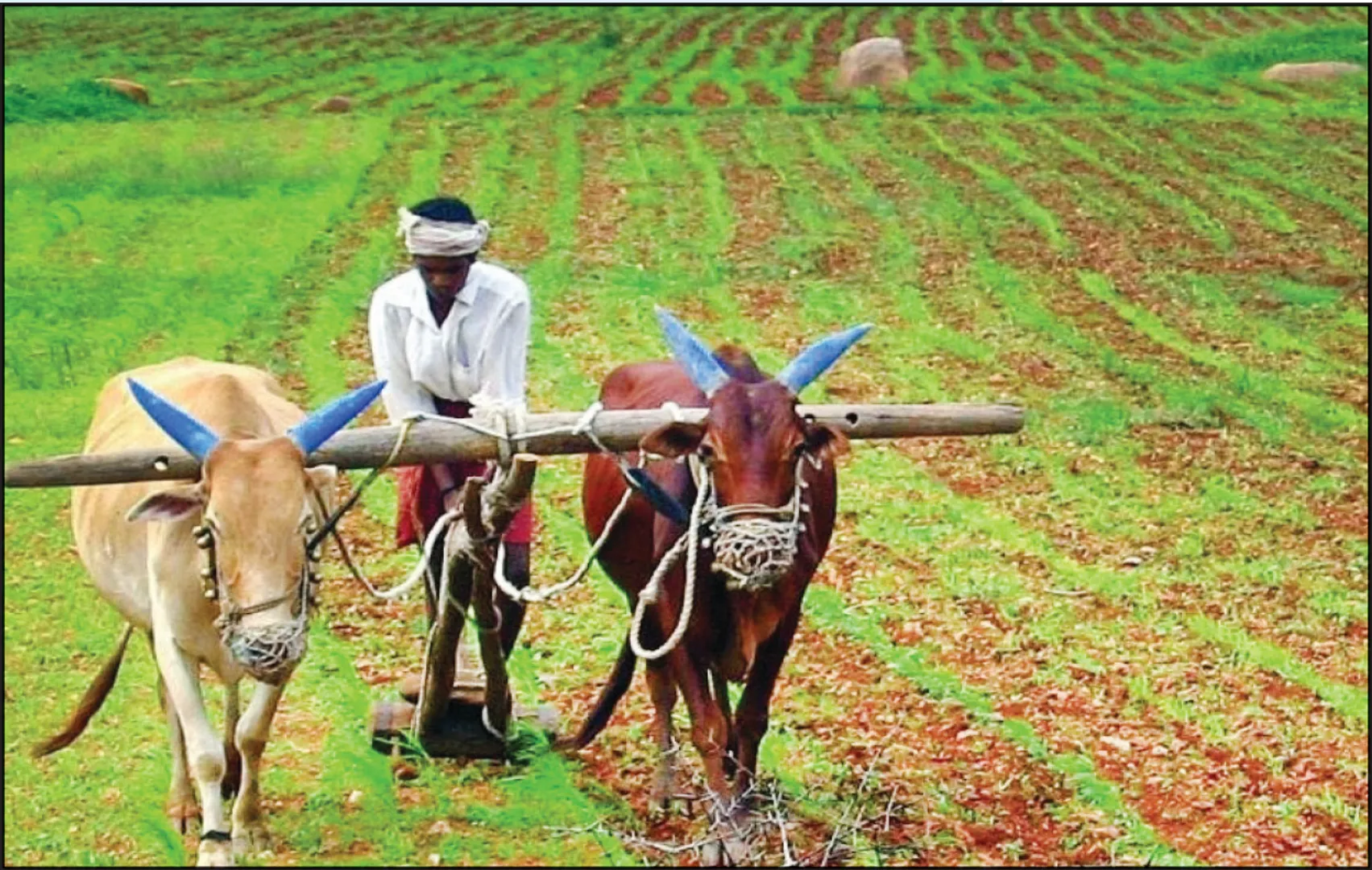 farming1