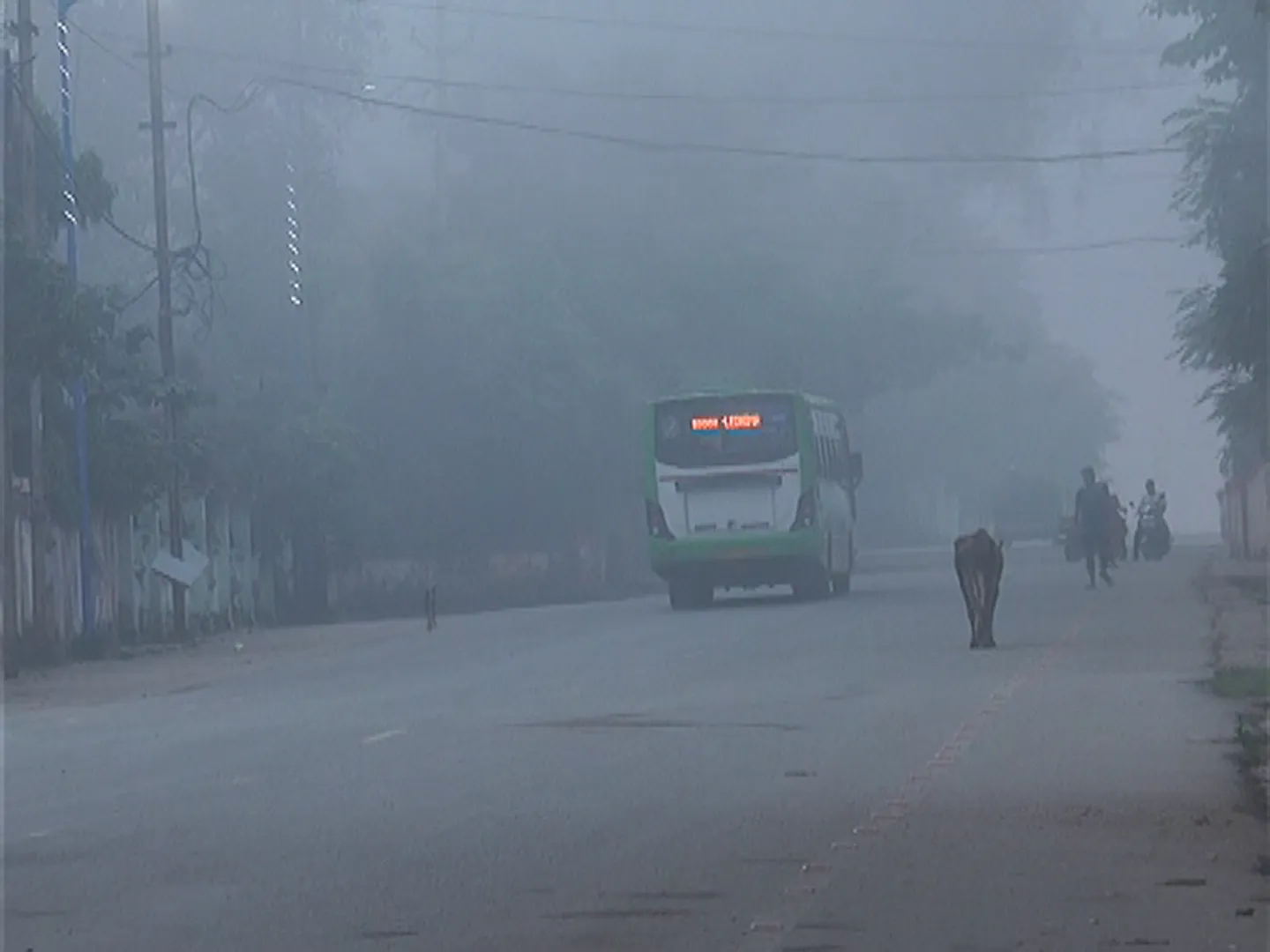 fog3