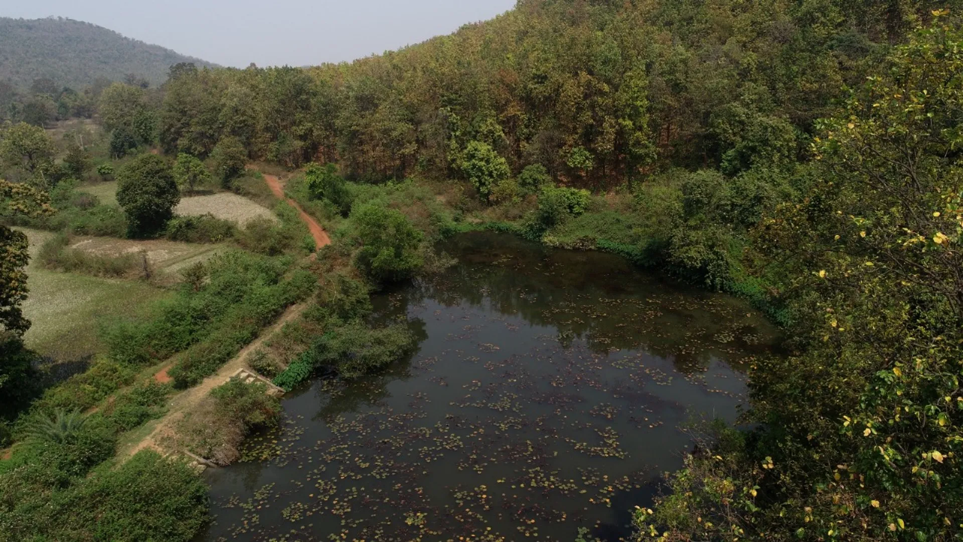 ଭୂତଳ ଜଳସ୍ତର ବୃଦ୍ଧି, ମୃତ୍ତିକା କ୍ଷୟ ନିୟନ୍ତ୍ରଣ ଲାଗି ବିଶେଷ ପଦକ୍ଷେପ