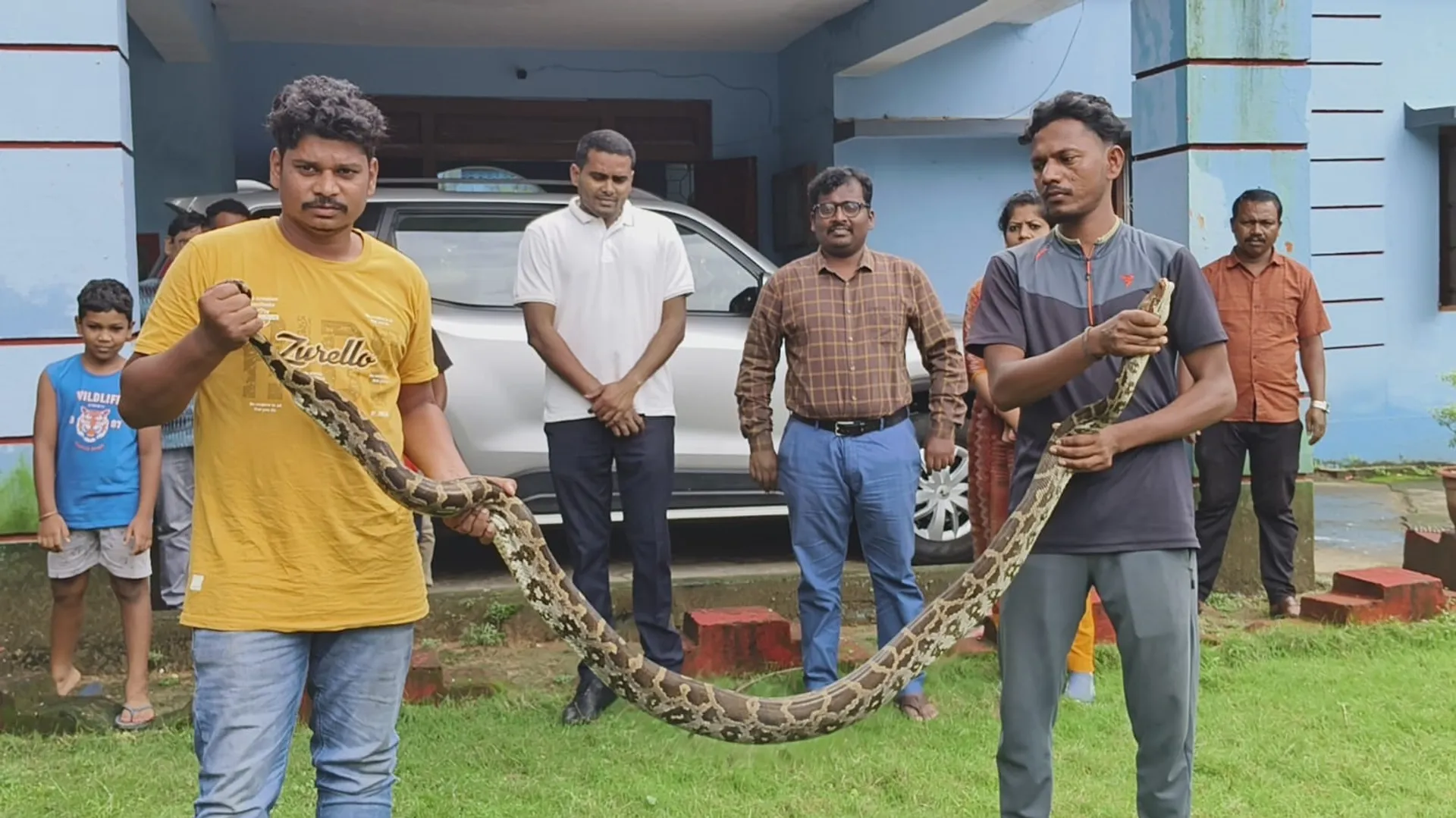 snake