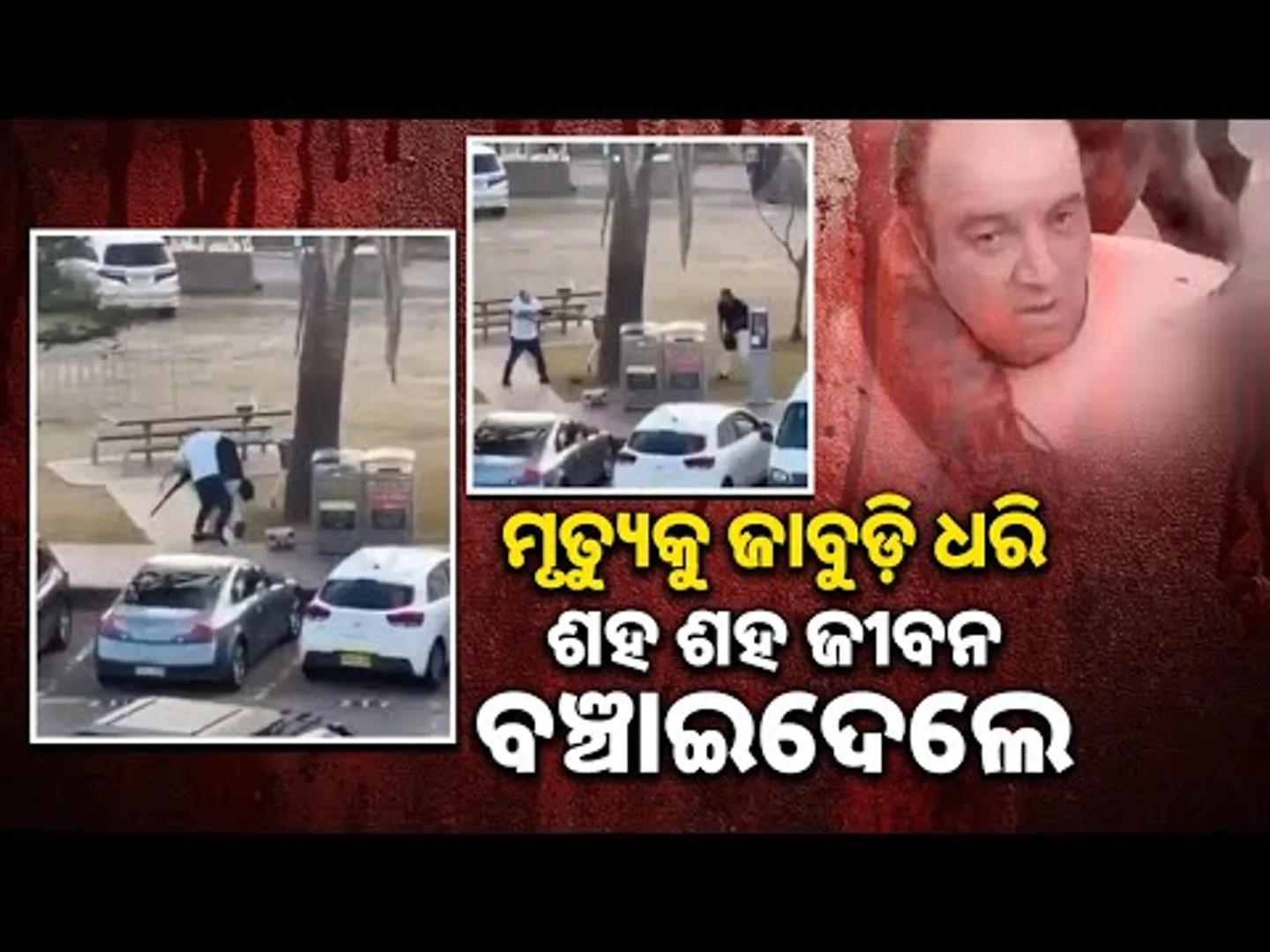 ମୃତ୍ୟୁକୁ ଜାବୁଡି ଧରି ଶହ ଜୀବନ ବଞ୍ଚାଇଦେଲେ || Ahmed al Ahmed, The Hero Who Saved Many Lives In Sydney