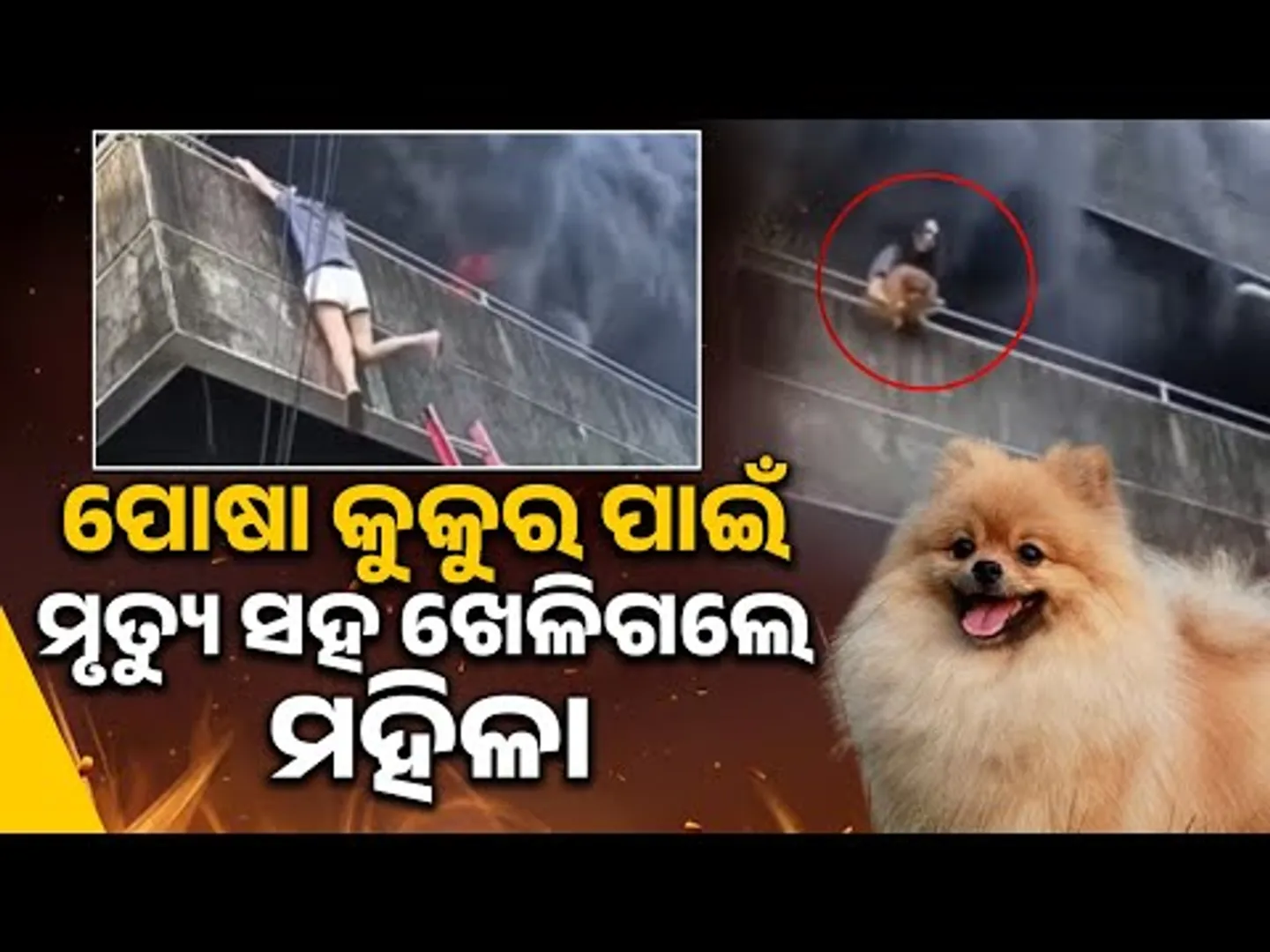 ପୋଷା କୁକୁର ପାଇଁ ମୃତ୍ୟୁ ସହ ଖେଳିଗଲେ || Owner Saves Her Dogs During Terrifying Building Fire || Sambad
